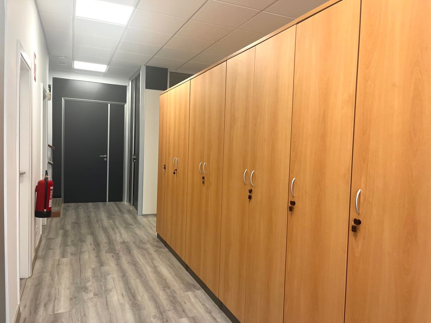 Oficinas-Alquiler-Toledo-1875929-Foto-8