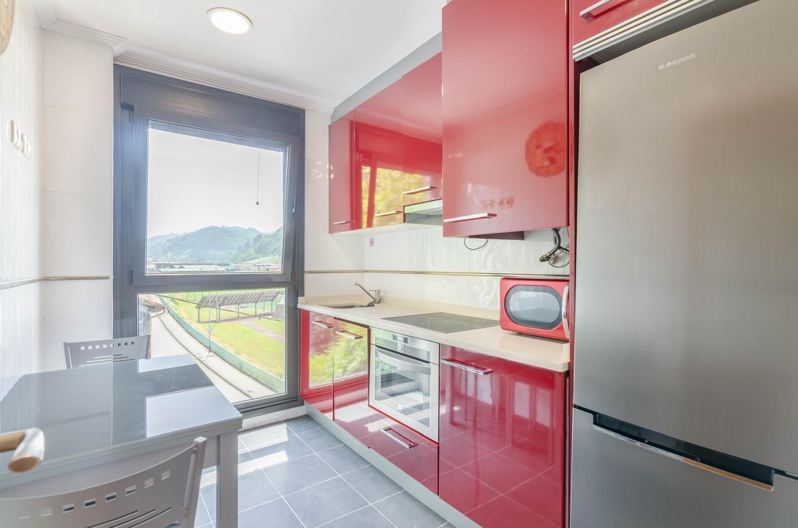 Pisos-Venta-Mieres-1749355-Foto-8