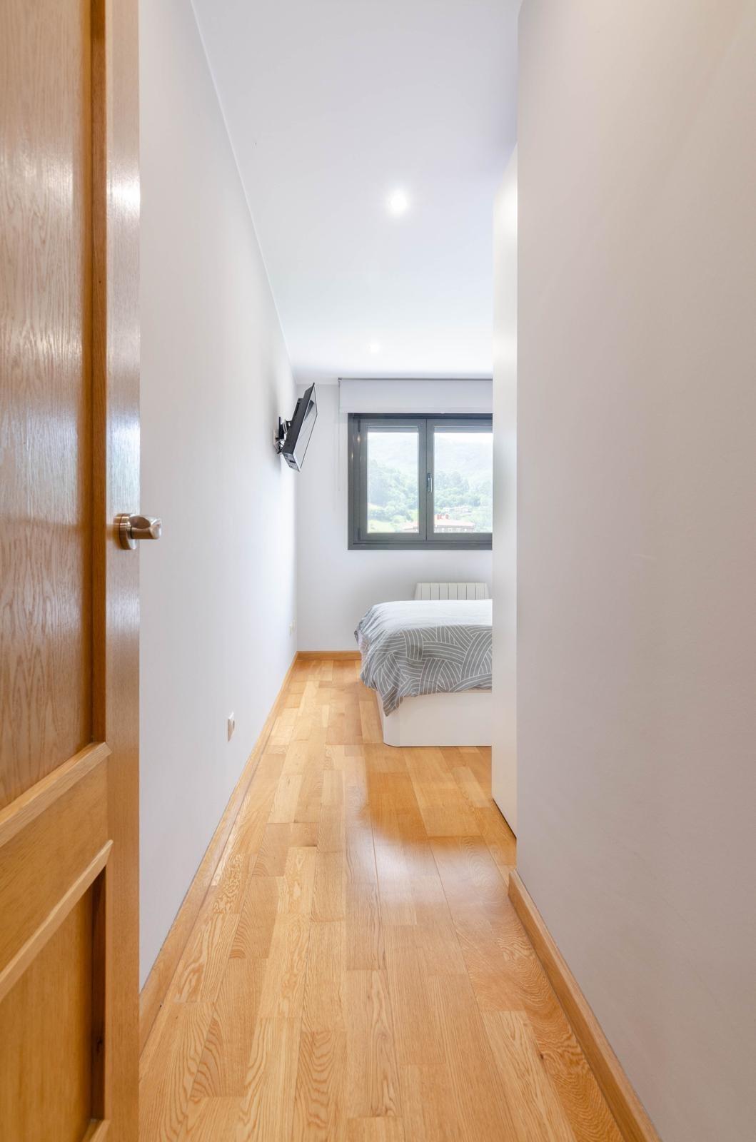 Pisos-Venta-Mieres-1749355-Foto-20