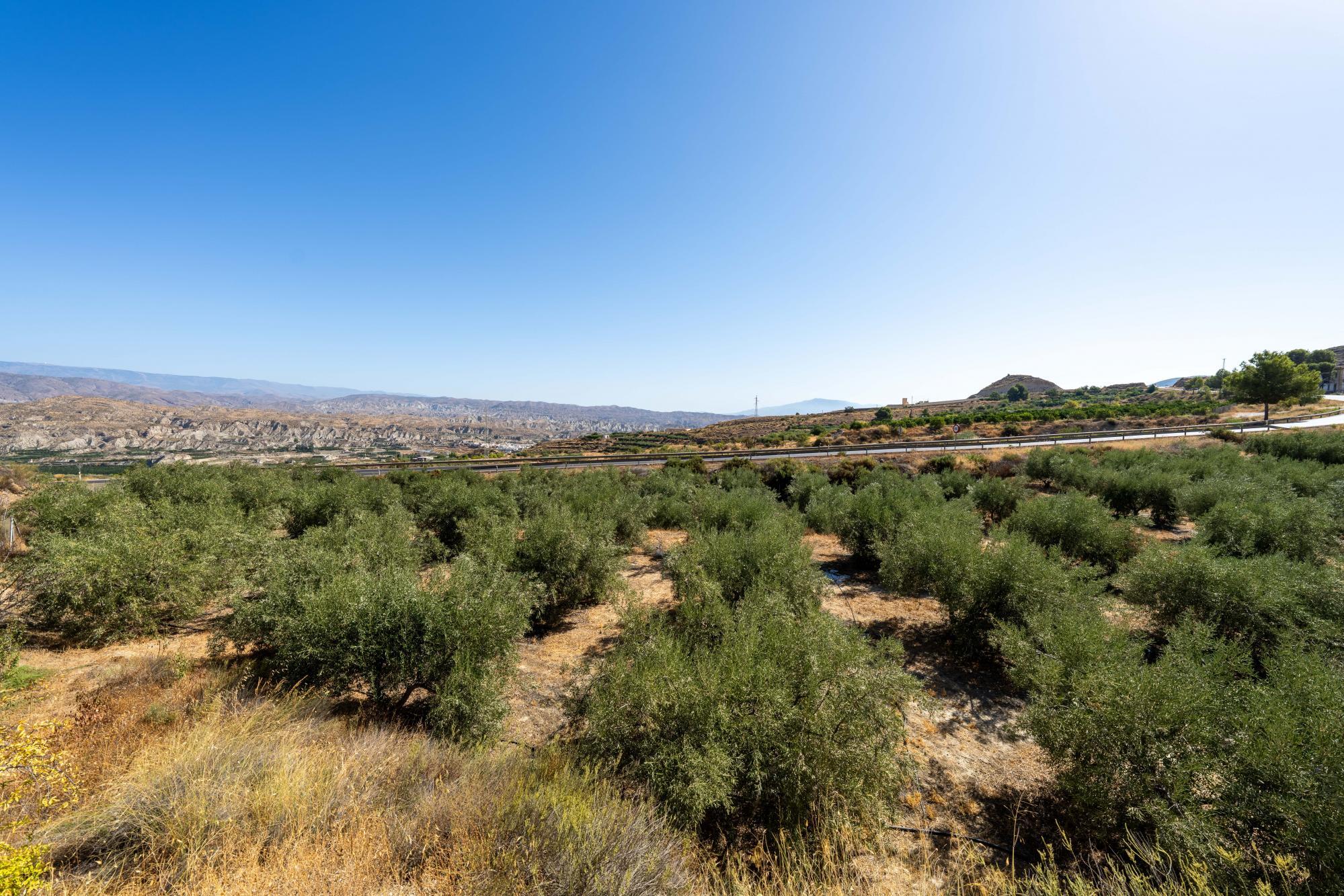 Pisos-Venta-AlmerÃ­a-1875944-Foto-14