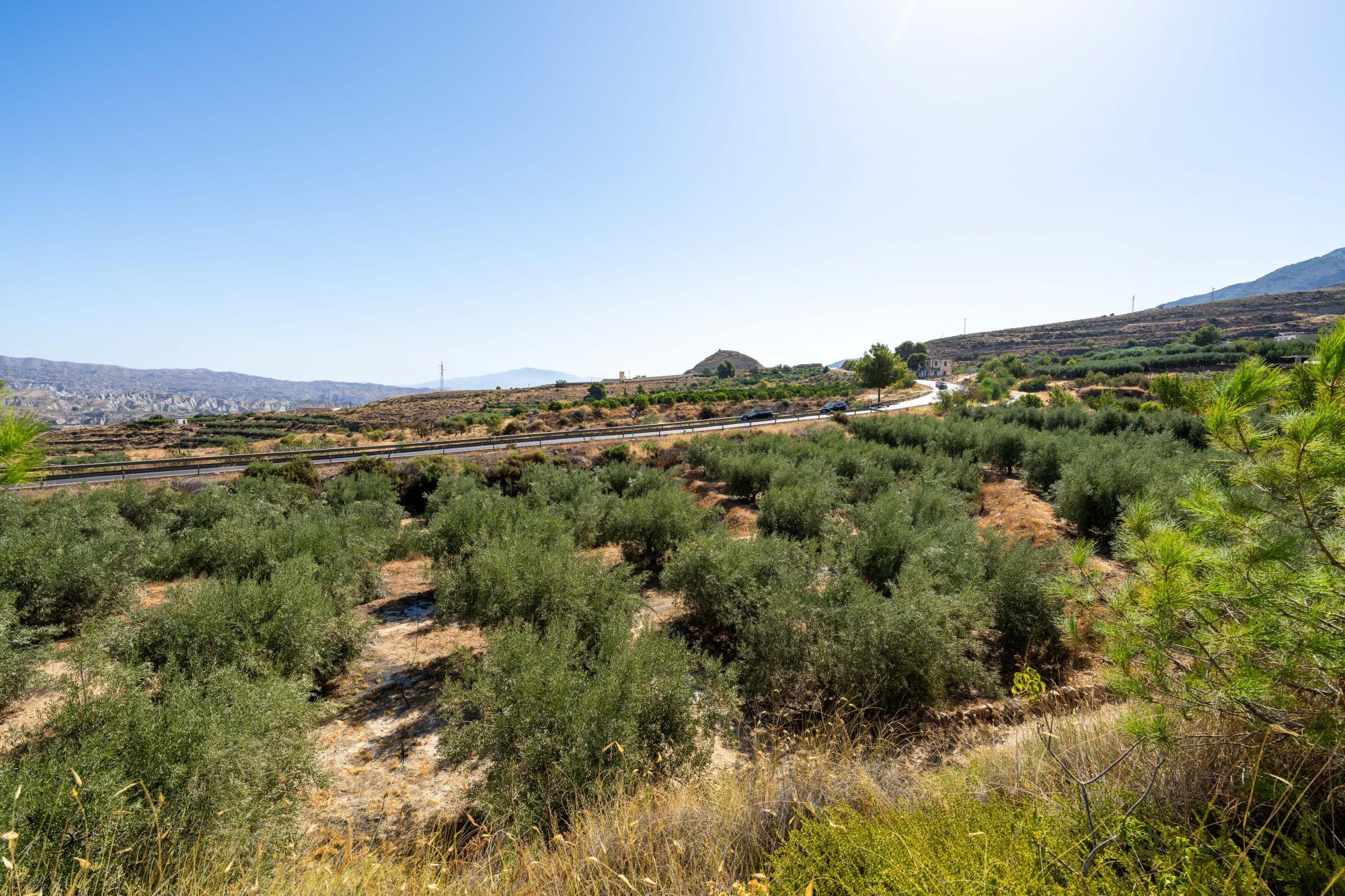 Pisos-Venta-AlmerÃ­a-1875944-Foto-13