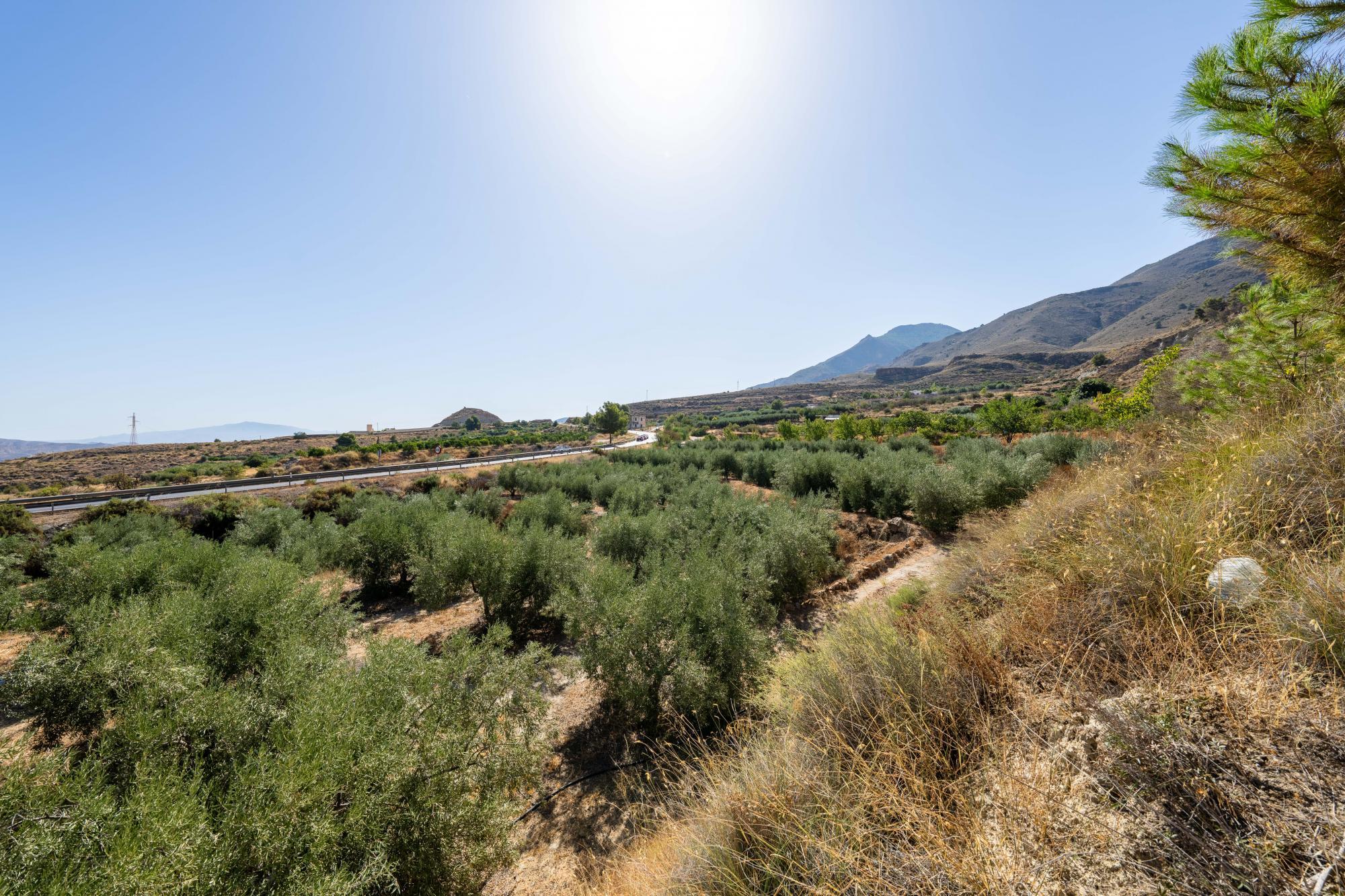 Pisos-Venta-AlmerÃ­a-1875944-Foto-15