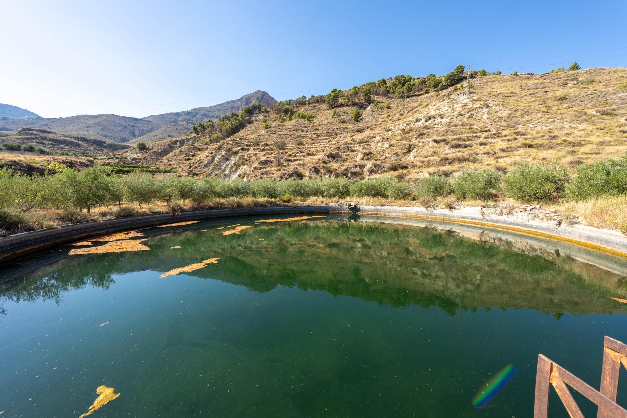 Pisos-Venta-AlmerÃ­a-1875944-Foto-18