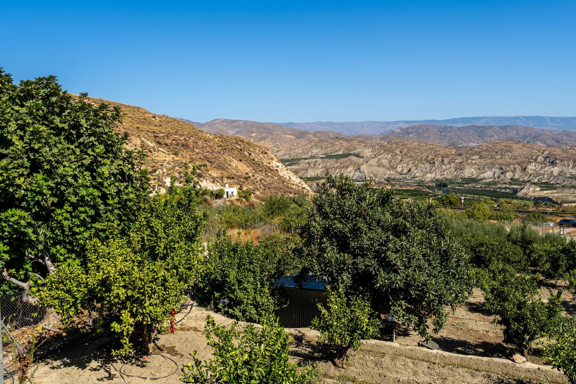 Pisos-Venta-AlmerÃ­a-1875944-Foto-16