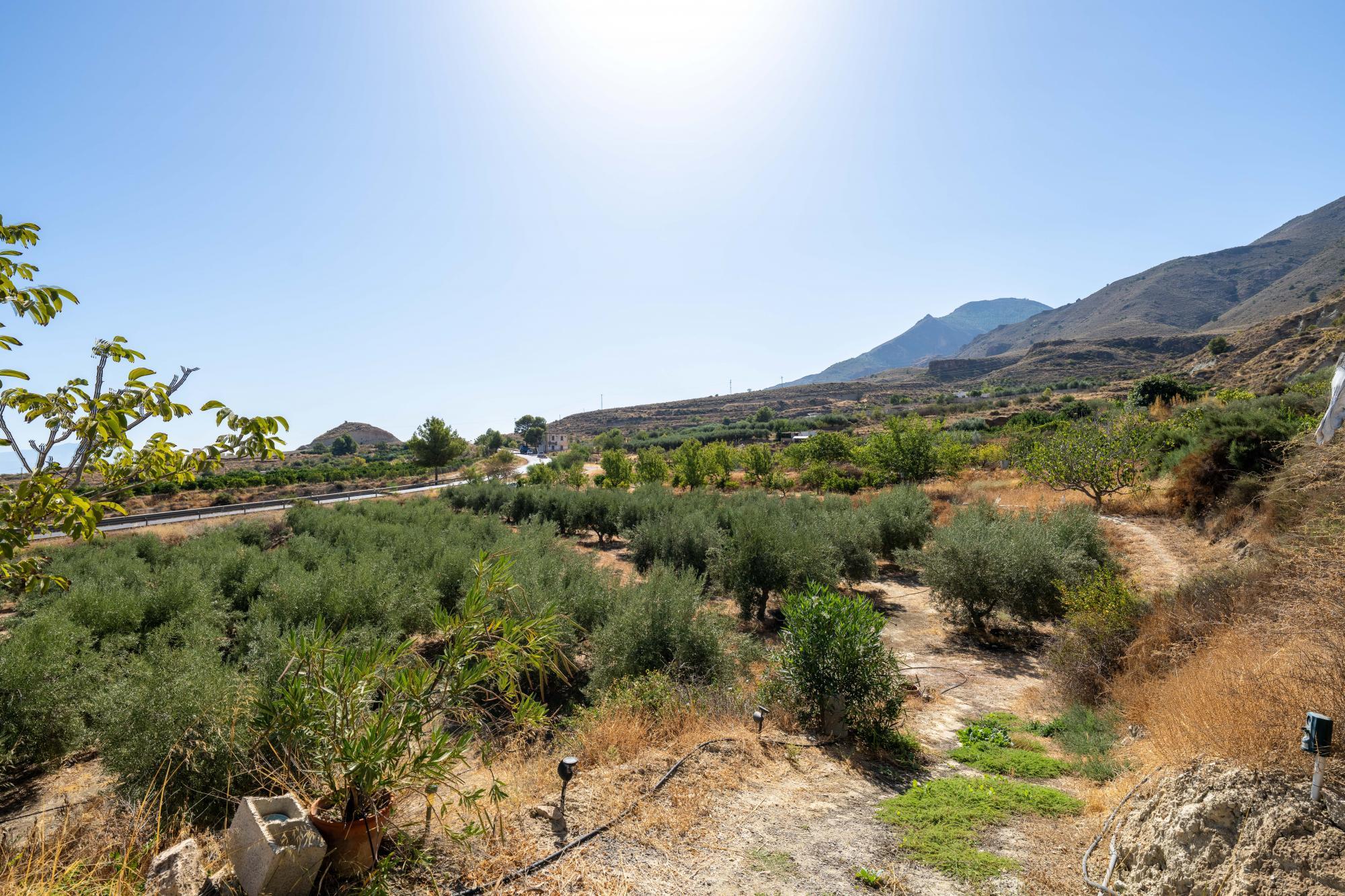 Pisos-Venta-AlmerÃ­a-1875944-Foto-17