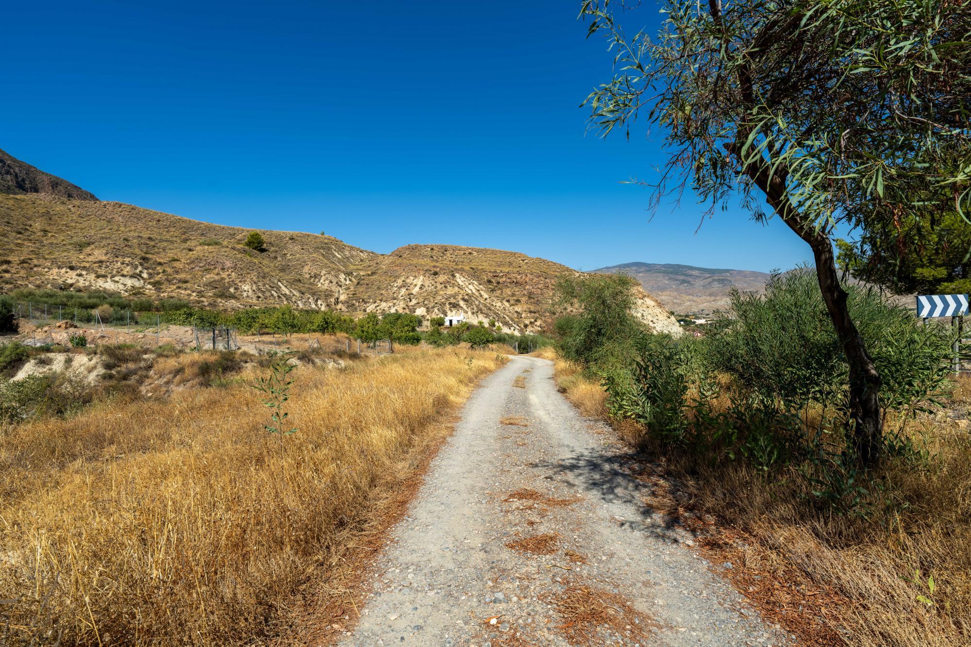 Pisos-Venta-AlmerÃ­a-1875944-Foto-21