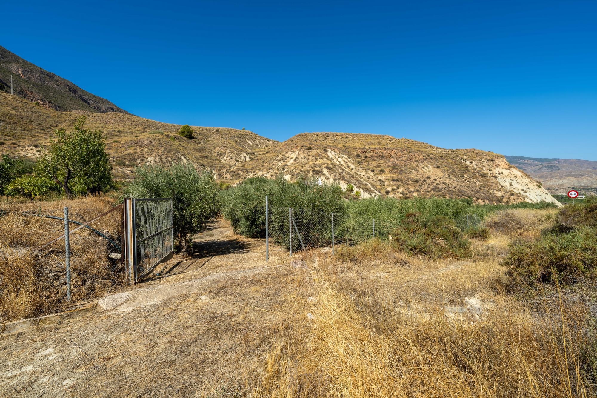 Pisos-Venta-AlmerÃ­a-1875944-Foto-24