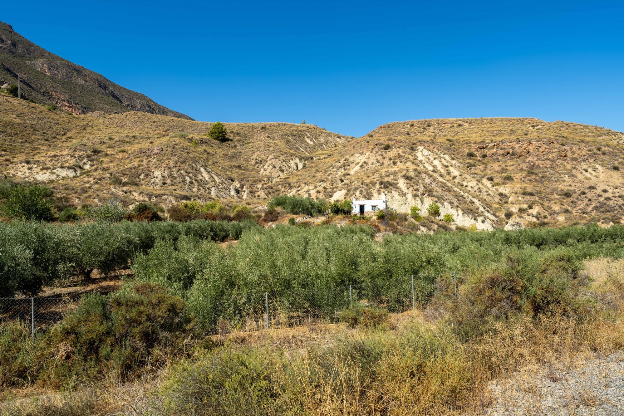 Pisos-Venta-AlmerÃ­a-1875944-Foto-23