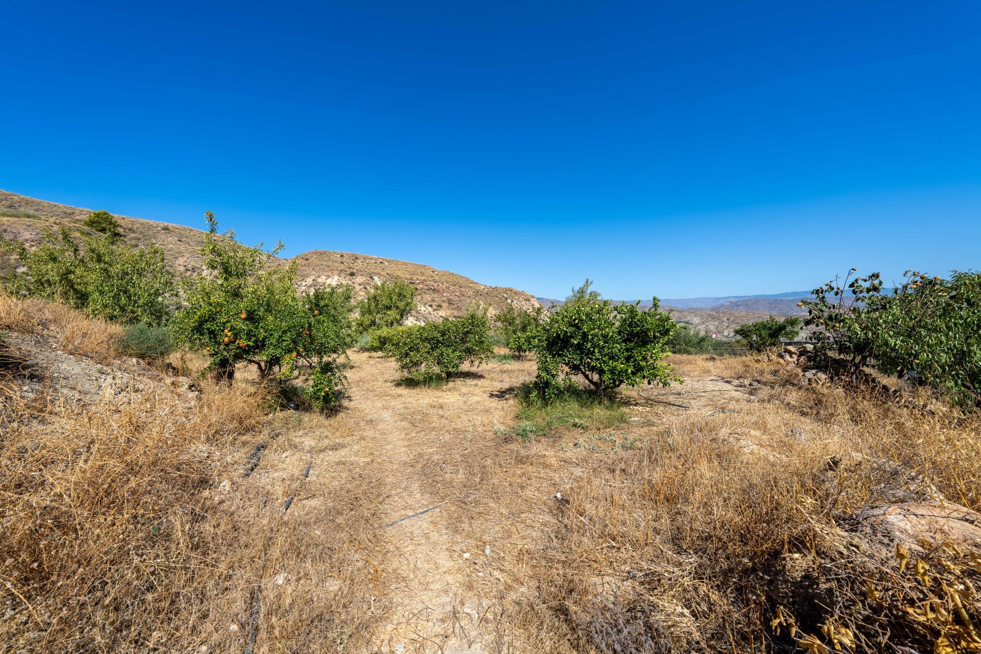 Pisos-Venta-AlmerÃ­a-1875944-Foto-26
