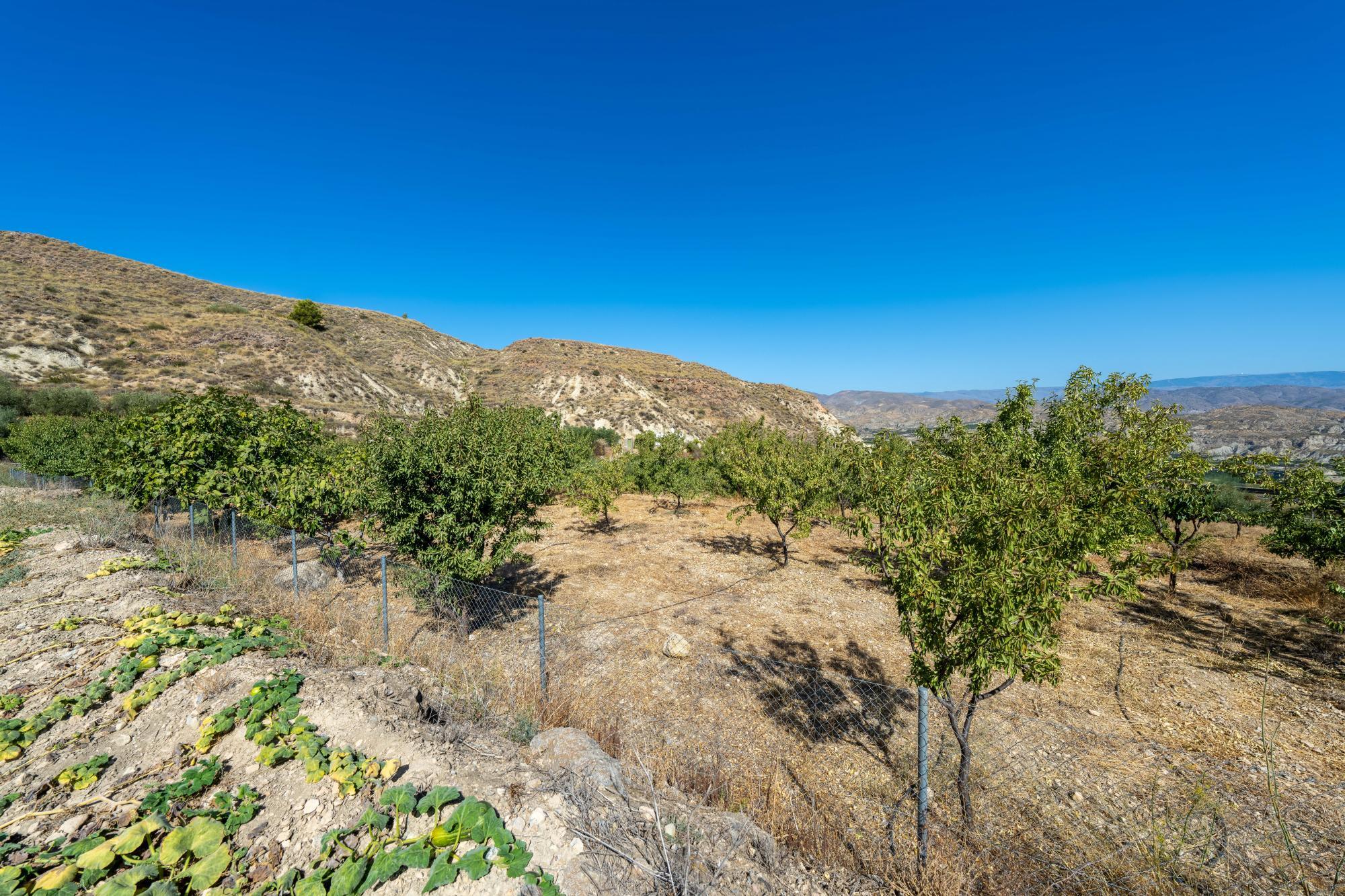 Pisos-Venta-AlmerÃ­a-1875944-Foto-28