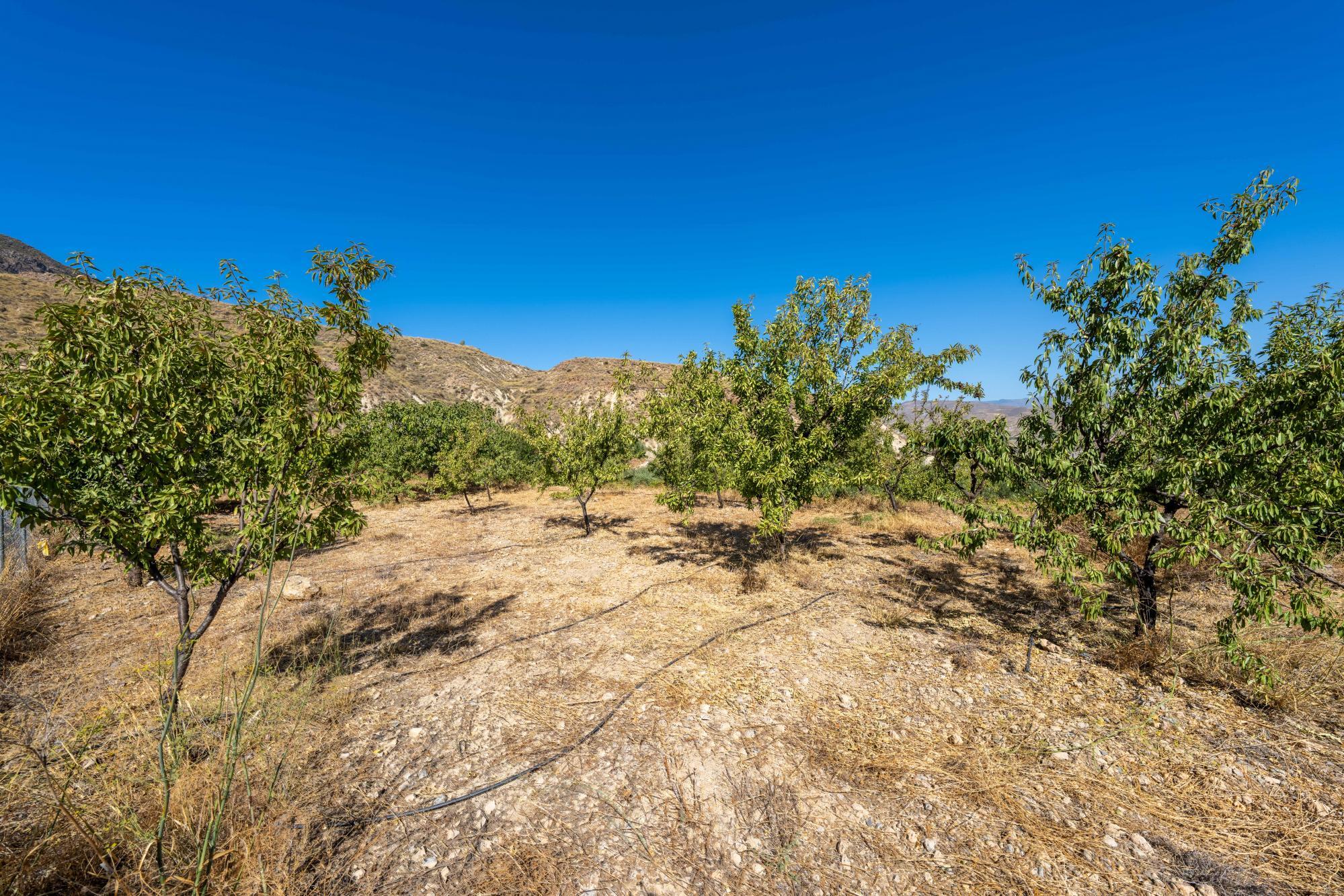 Pisos-Venta-AlmerÃ­a-1875944-Foto-29