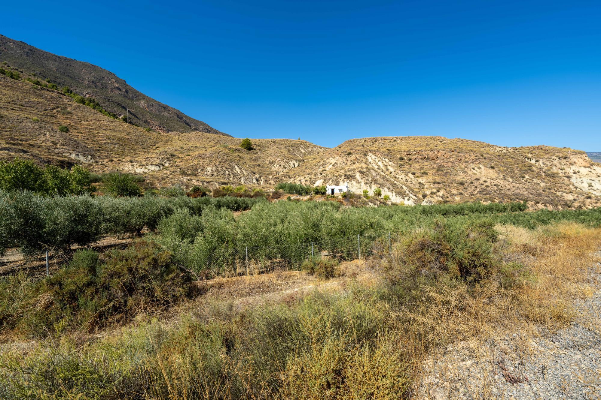 Pisos-Venta-AlmerÃ­a-1875944-Foto-30