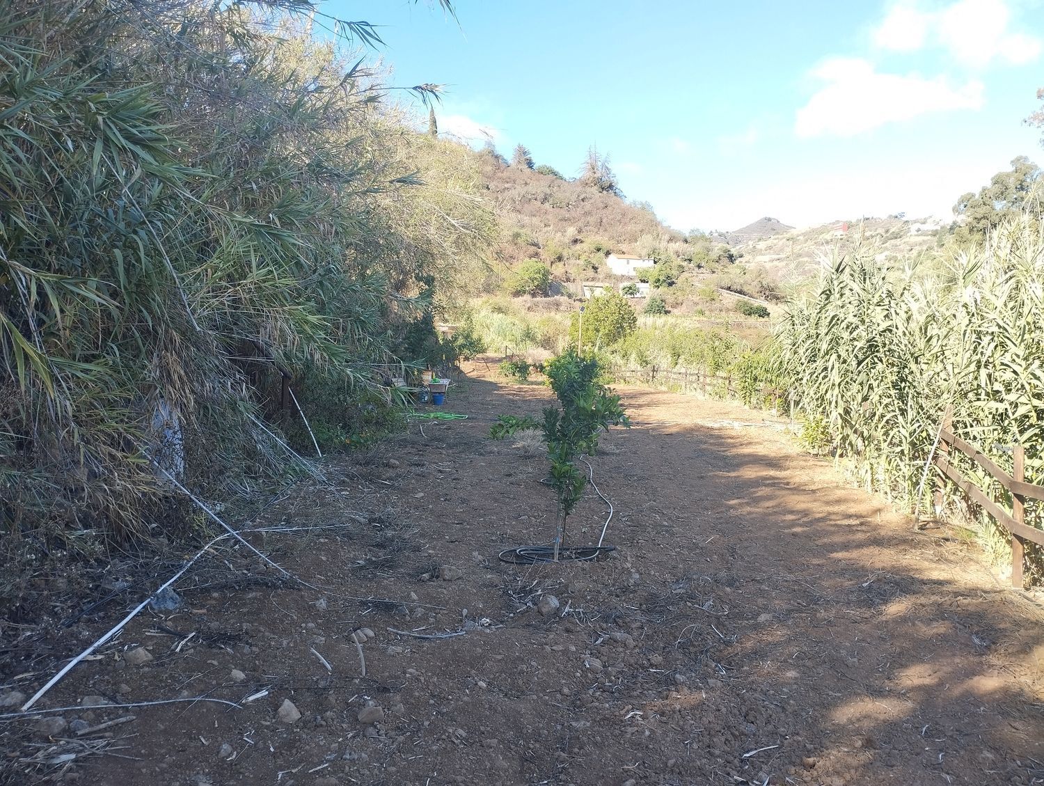 Pisos-Venta-Vega de San Mateo-1876316-Foto-3