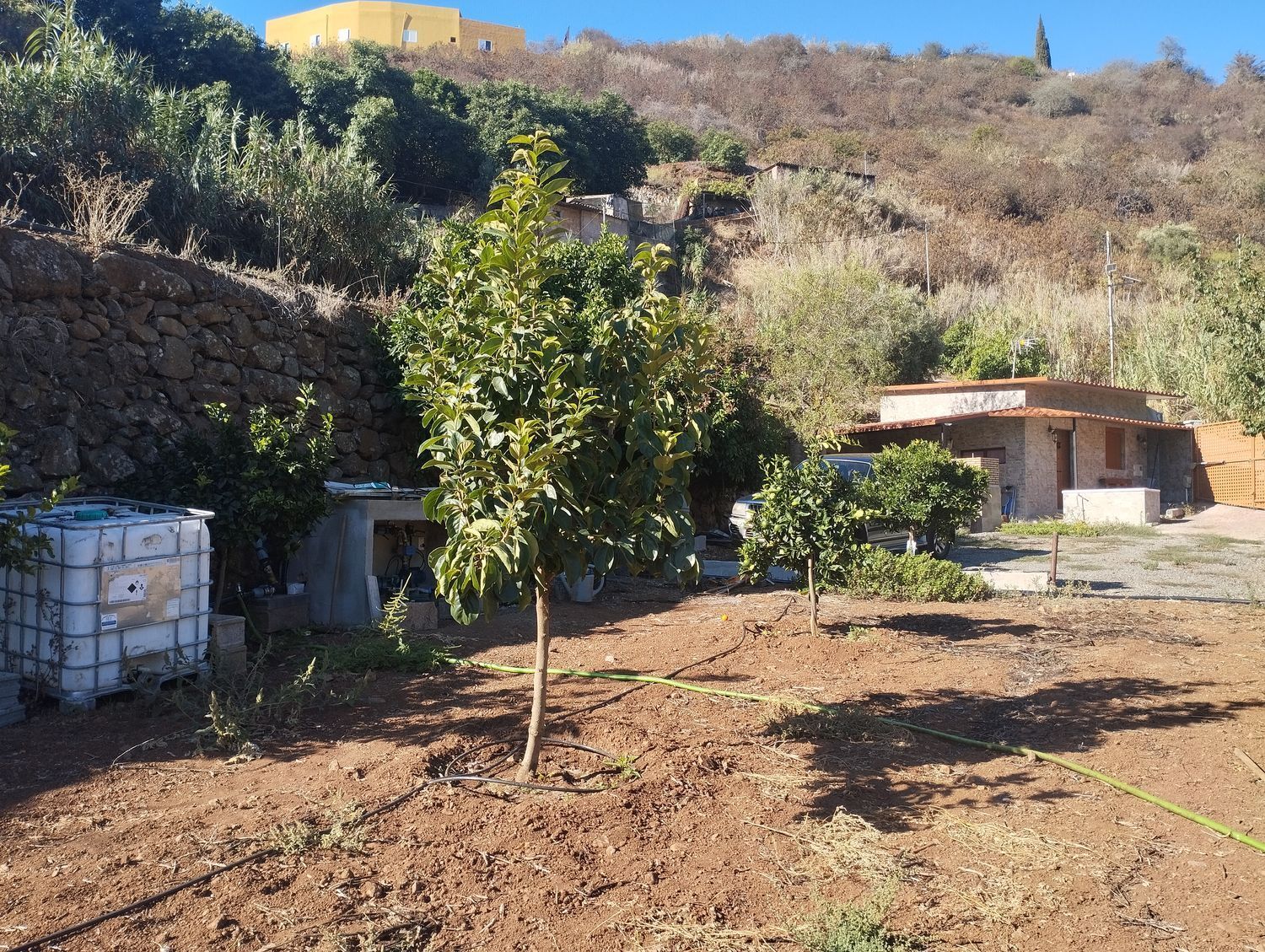 Pisos-Venta-Vega de San Mateo-1876316-Foto-4