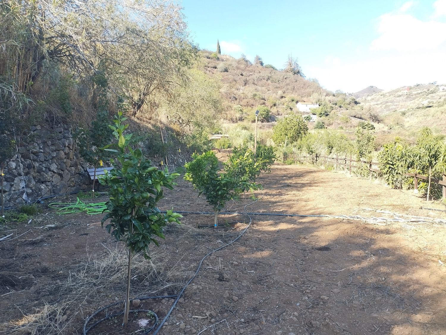 Pisos-Venta-Vega de San Mateo-1876316-Foto-5
