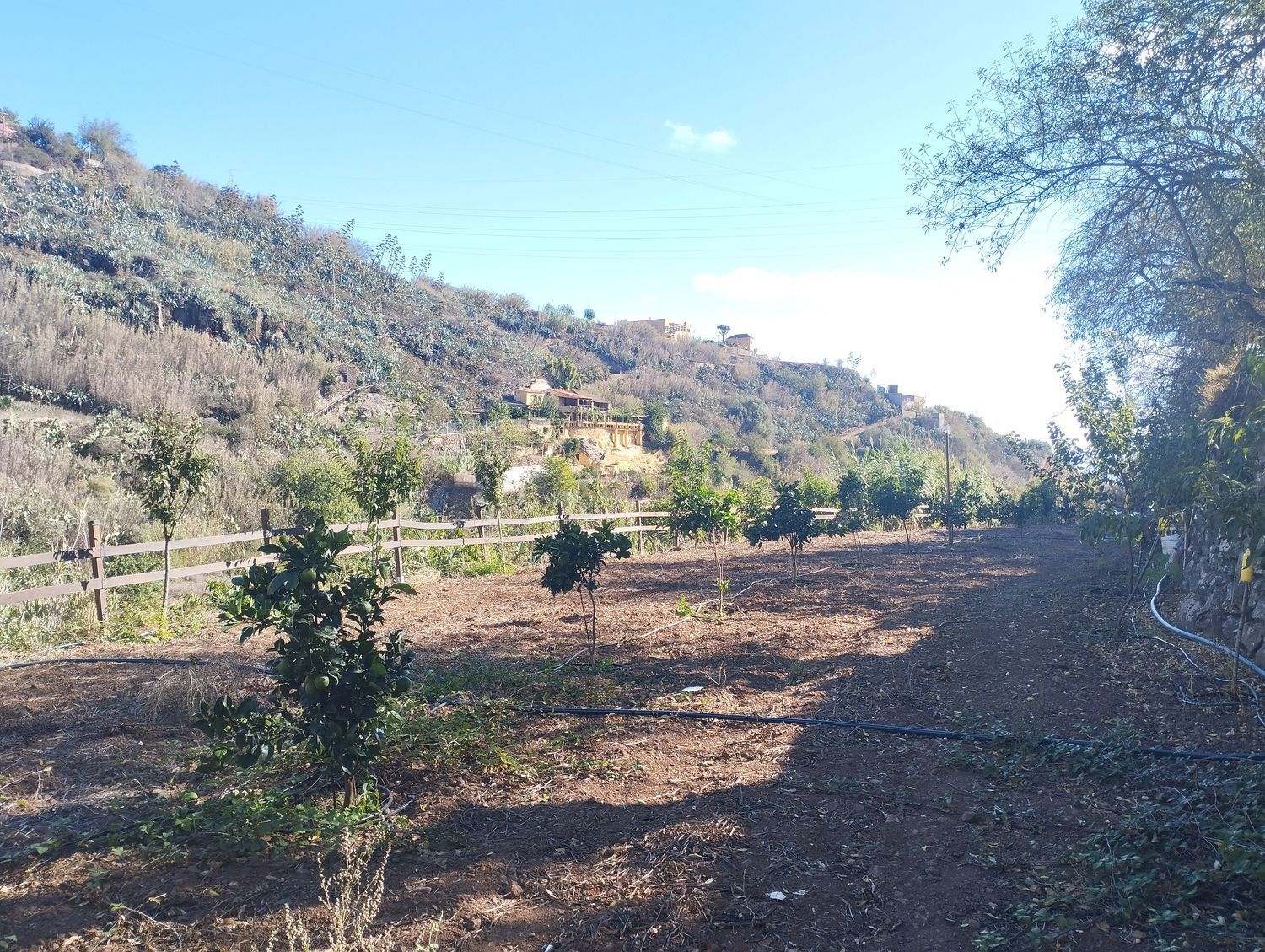 Pisos-Venta-Vega de San Mateo-1876316-Foto-9