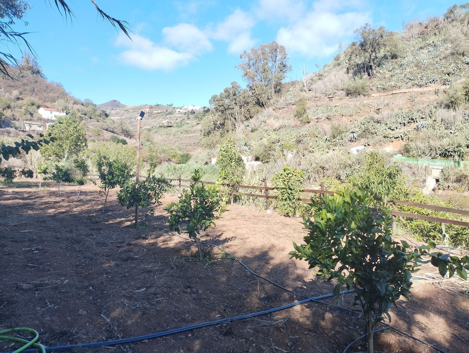 Pisos-Venta-Vega de San Mateo-1876316-Foto-7