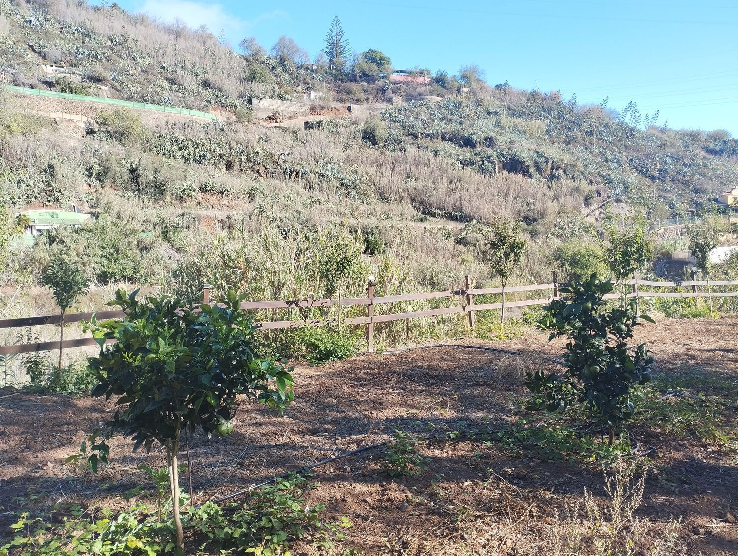 Pisos-Venta-Vega de San Mateo-1876316-Foto-12