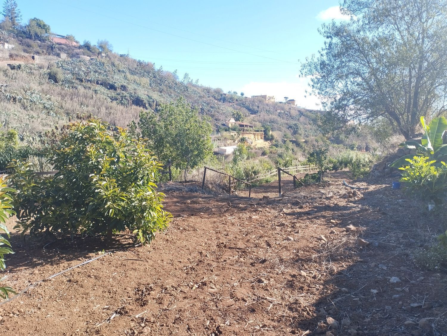 Pisos-Venta-Vega de San Mateo-1876316-Foto-14