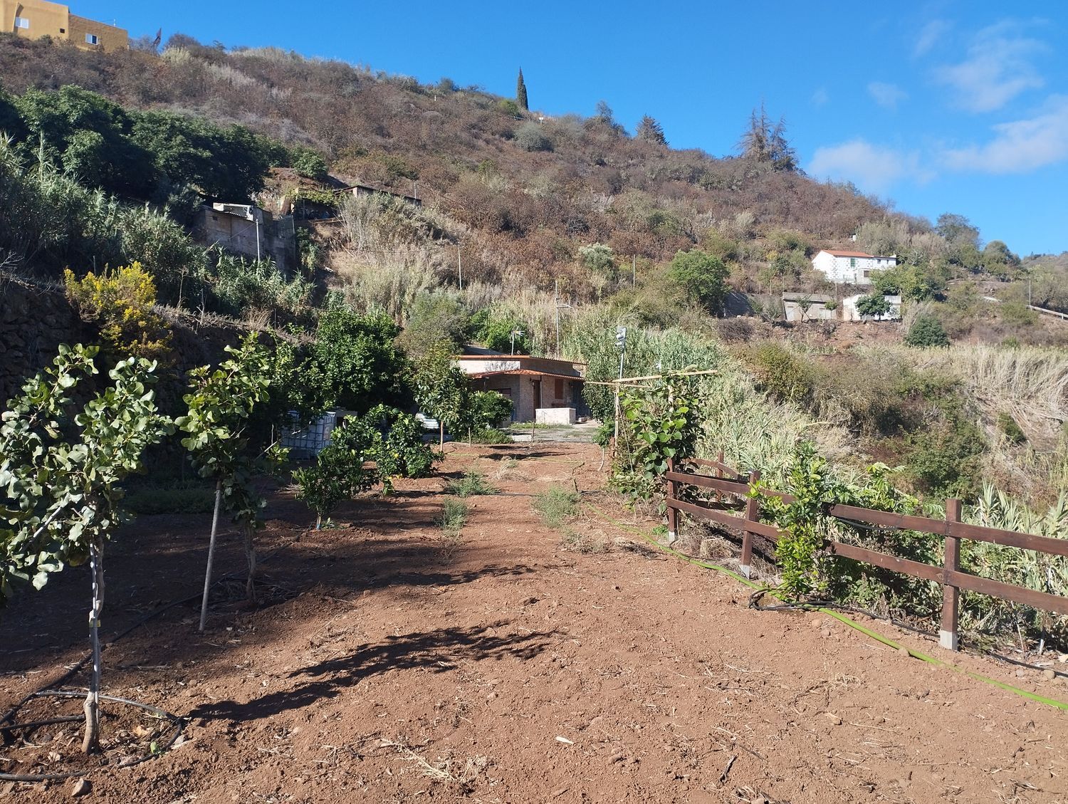 Pisos-Venta-Vega de San Mateo-1876316-Foto-17