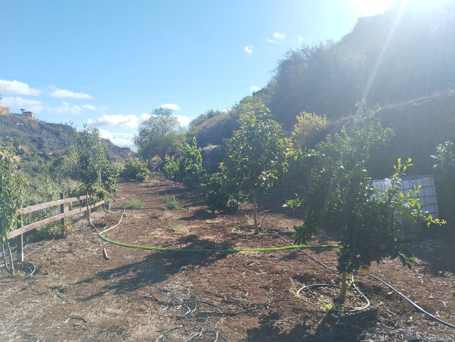 Pisos-Venta-Vega de San Mateo-1876316-Foto-19
