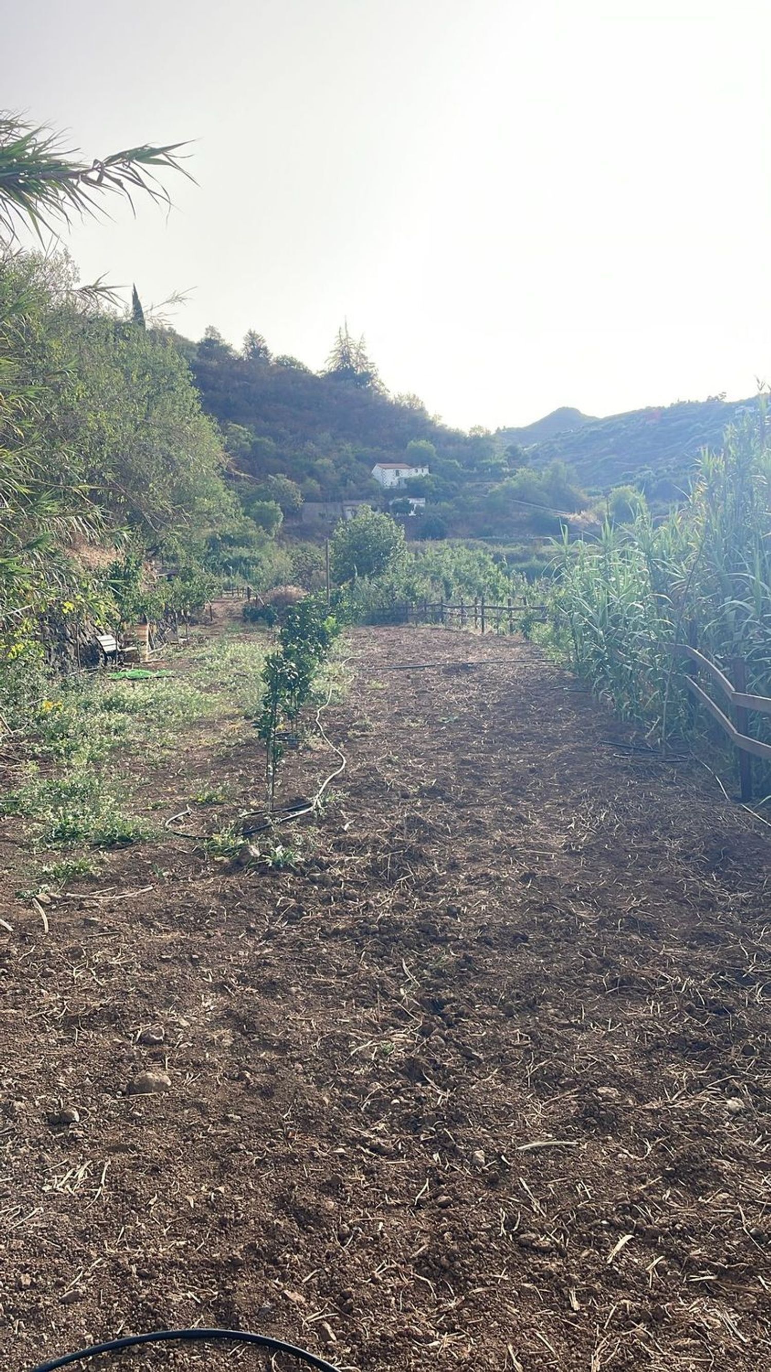 Pisos-Venta-Vega de San Mateo-1876316-Foto-24