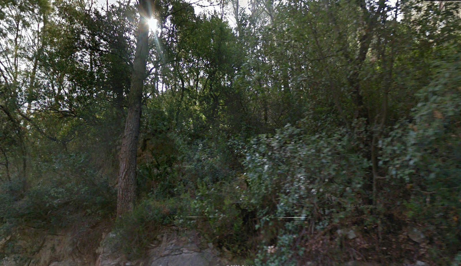 Fincas y solares-Venta-PollenÃ§a-1876331-Foto-2