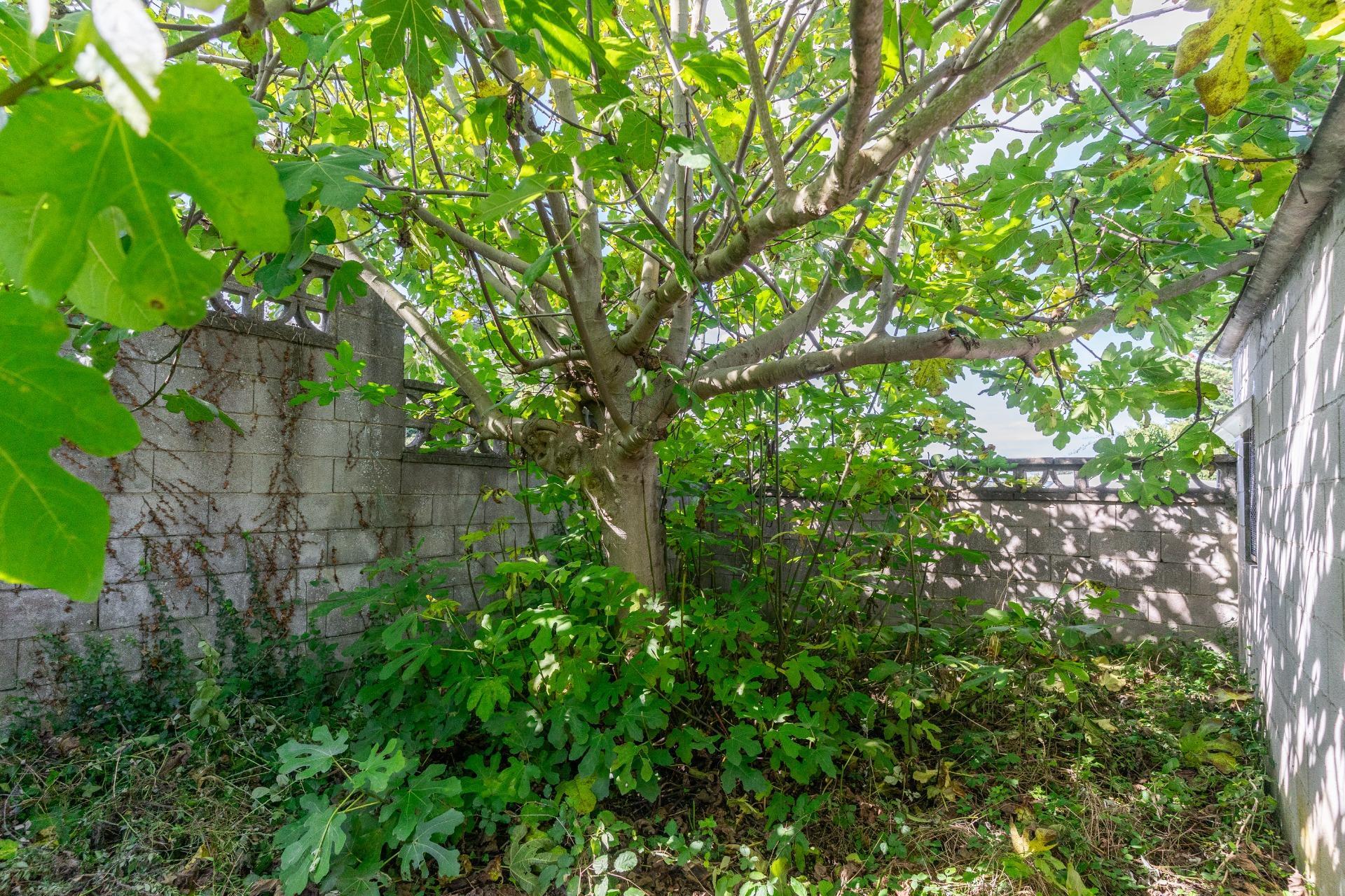 Casas o chalets-Venta-GijÃ³n-1876337-Foto-25
