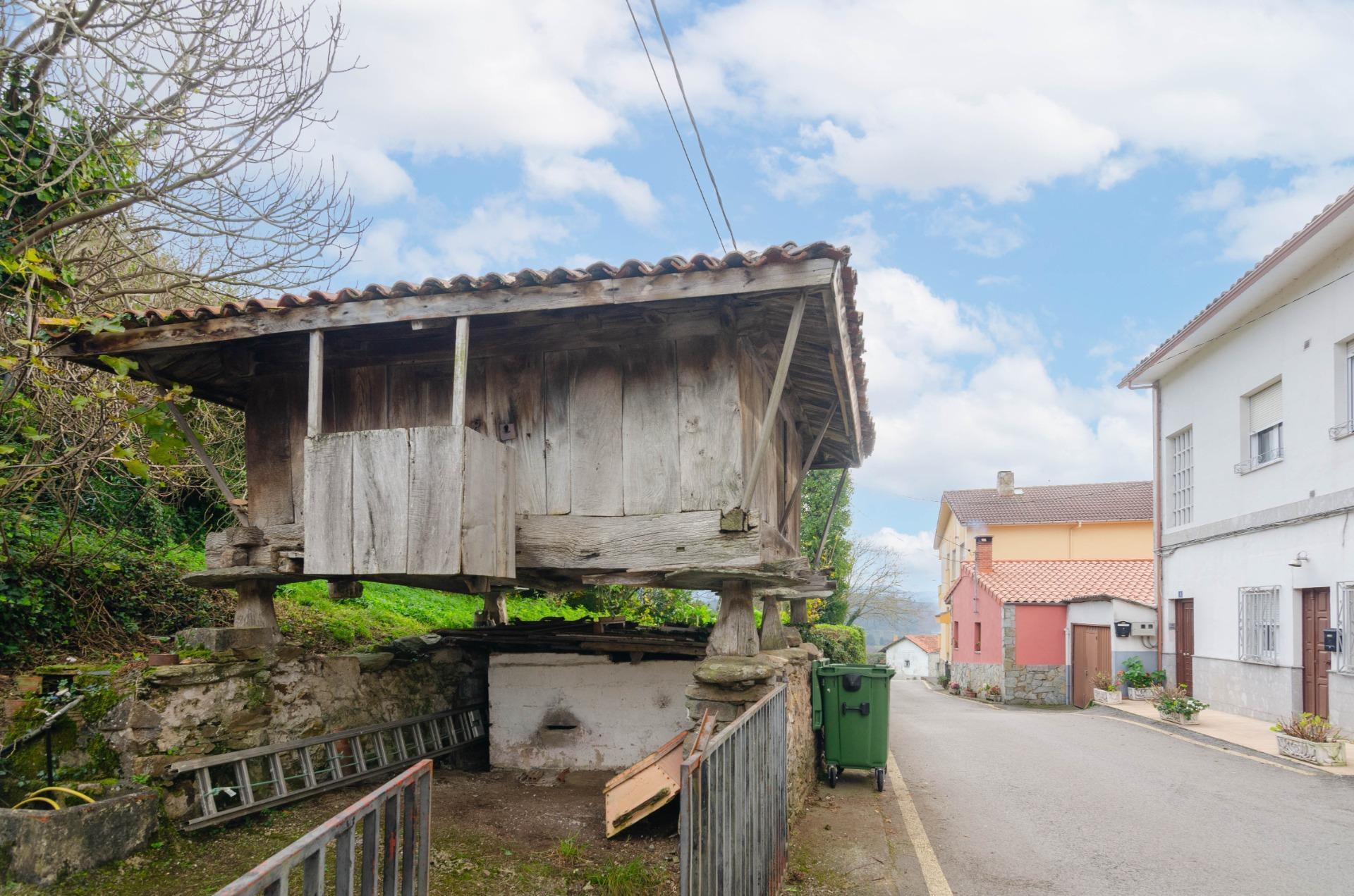 Casas o chalets-Venta-Tineo-1482479-Foto-5