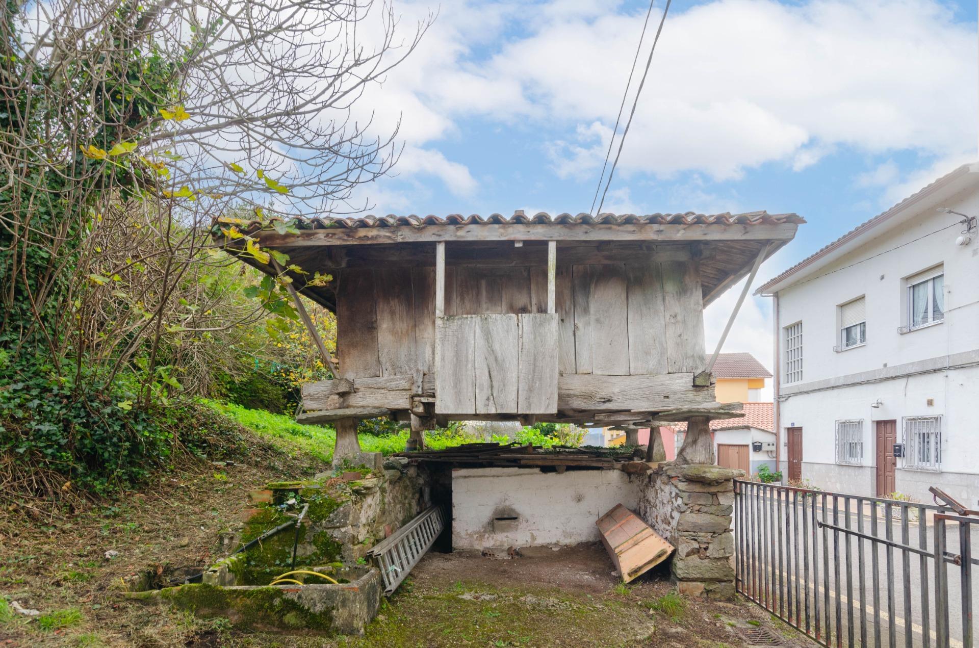 Casas o chalets-Venta-Tineo-1482479-Foto-4