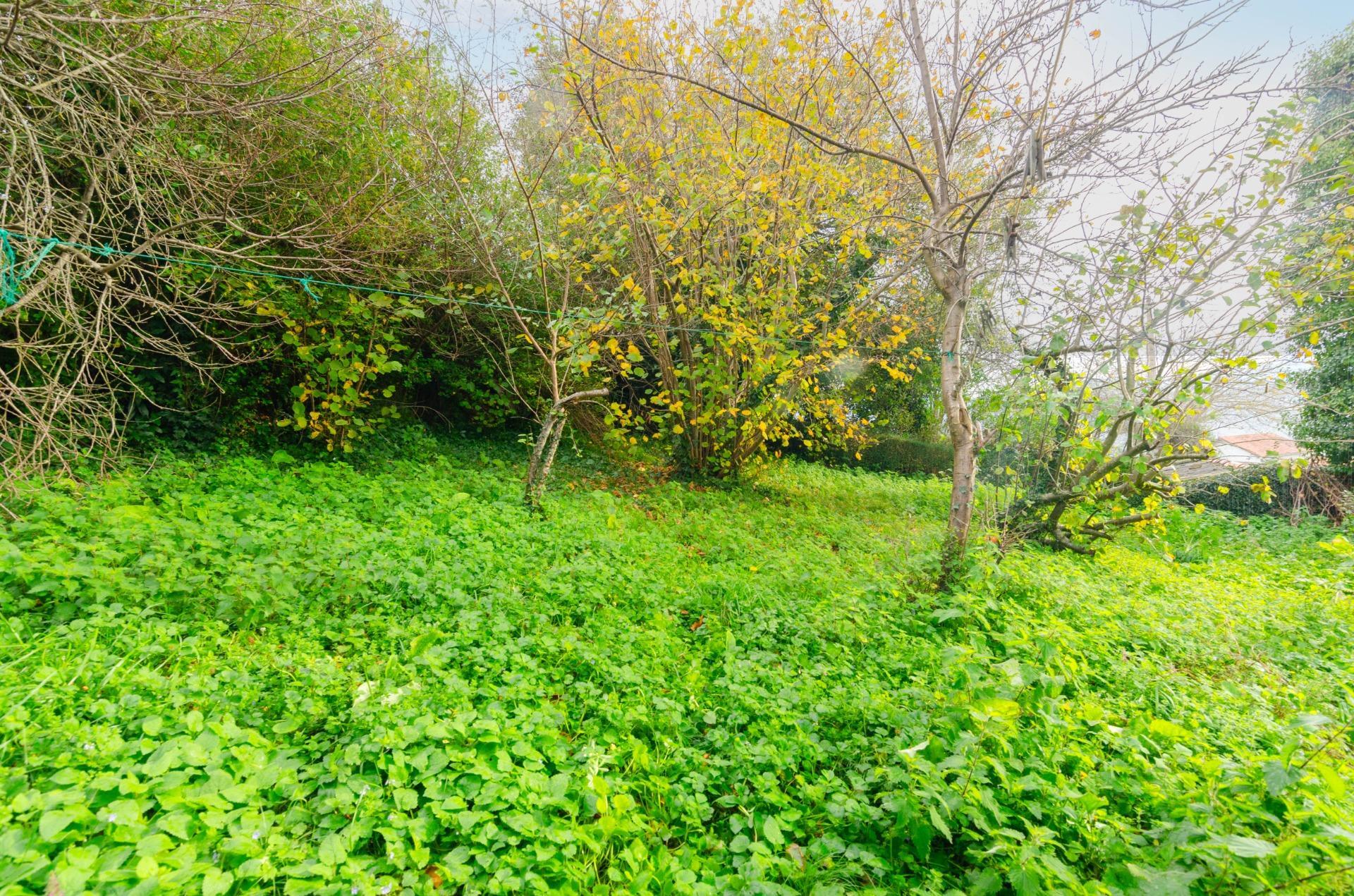 Casas o chalets-Venta-Tineo-1482479-Foto-11