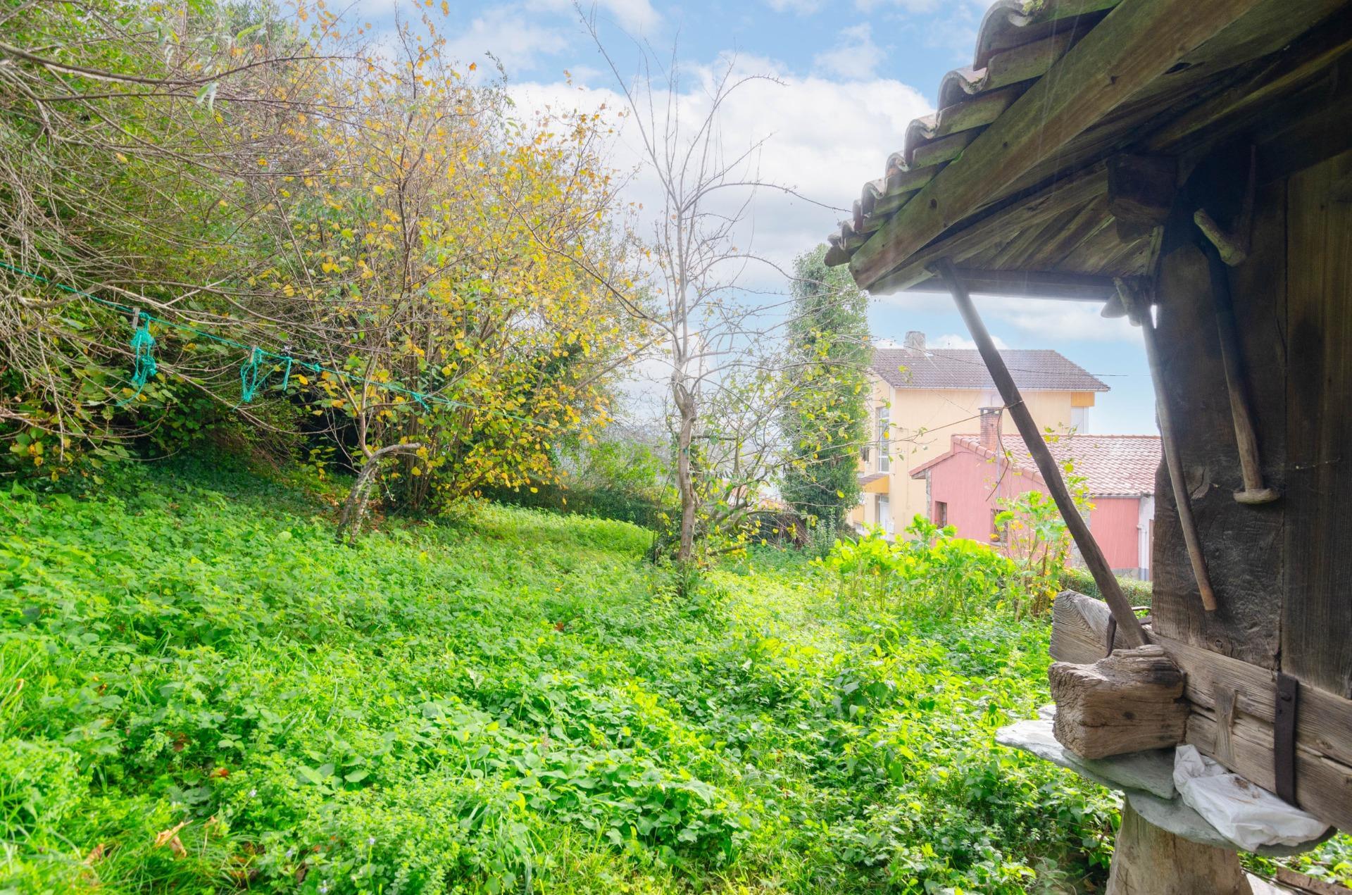 Casas o chalets-Venta-Tineo-1482479-Foto-9