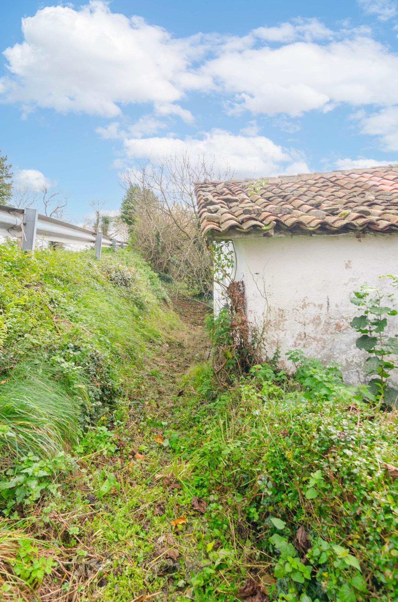 Casas o chalets-Venta-Tineo-1482479-Foto-16