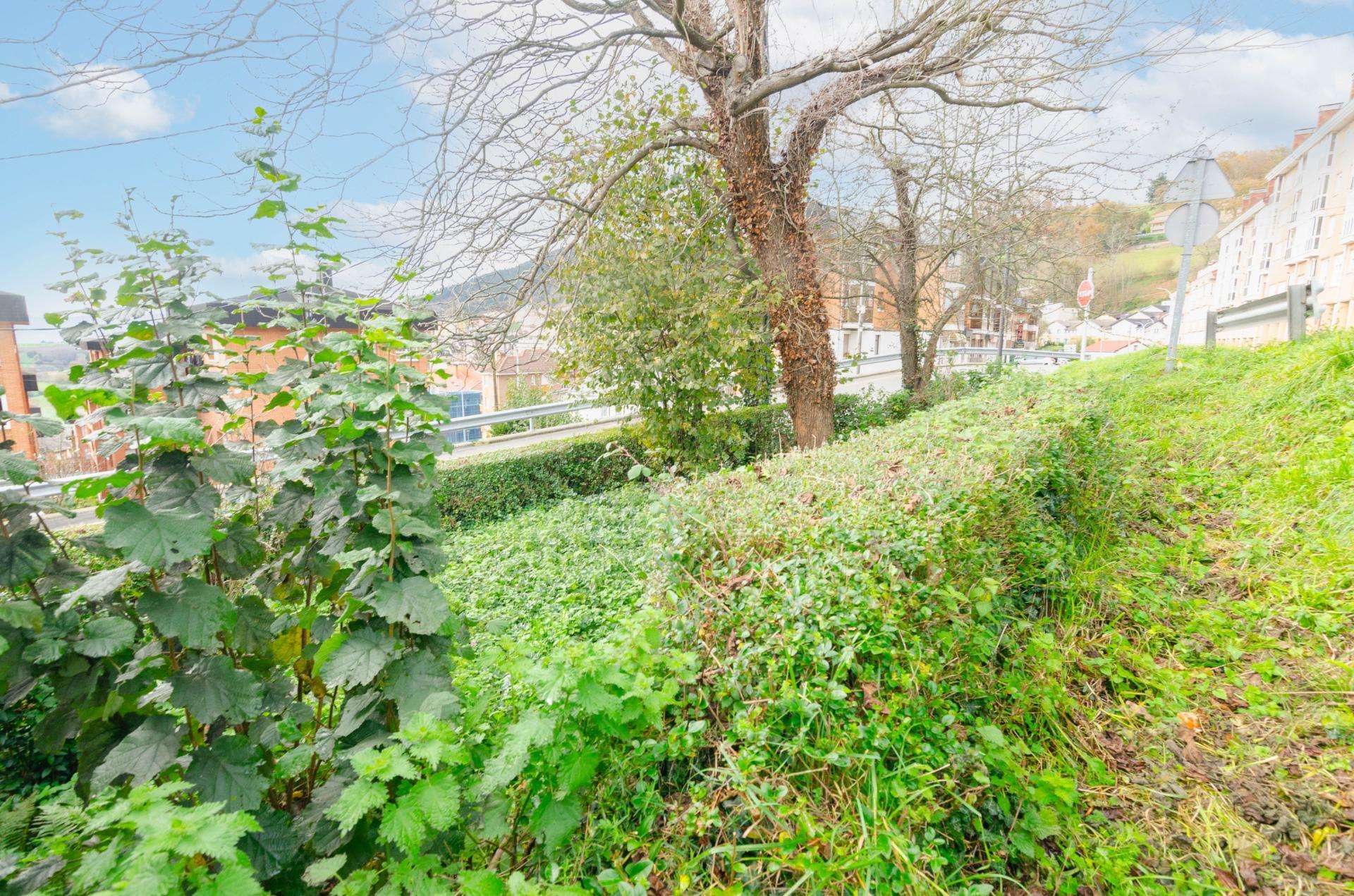 Casas o chalets-Venta-Tineo-1482479-Foto-15