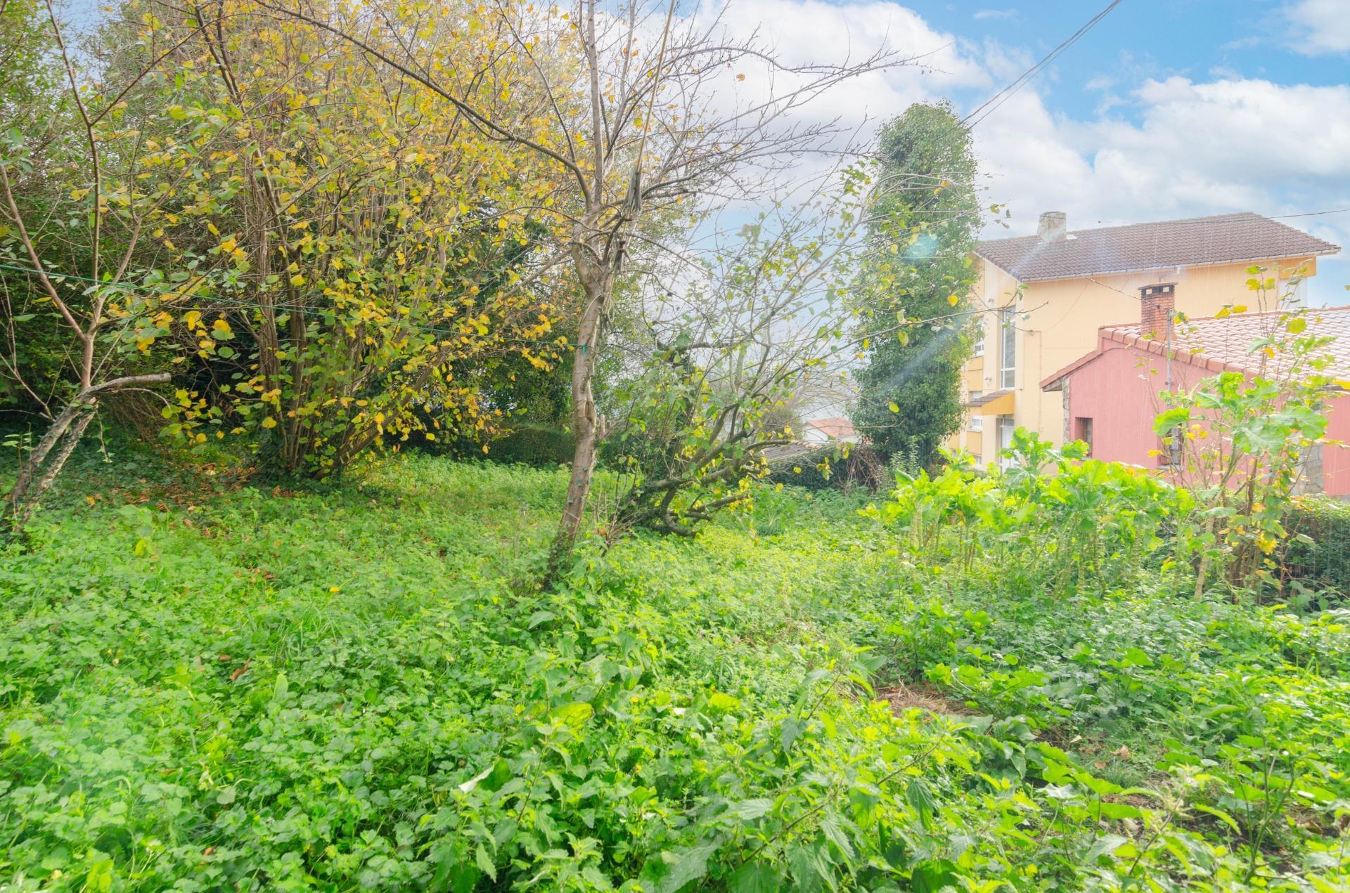 Casas o chalets-Venta-Tineo-1482479-Foto-12