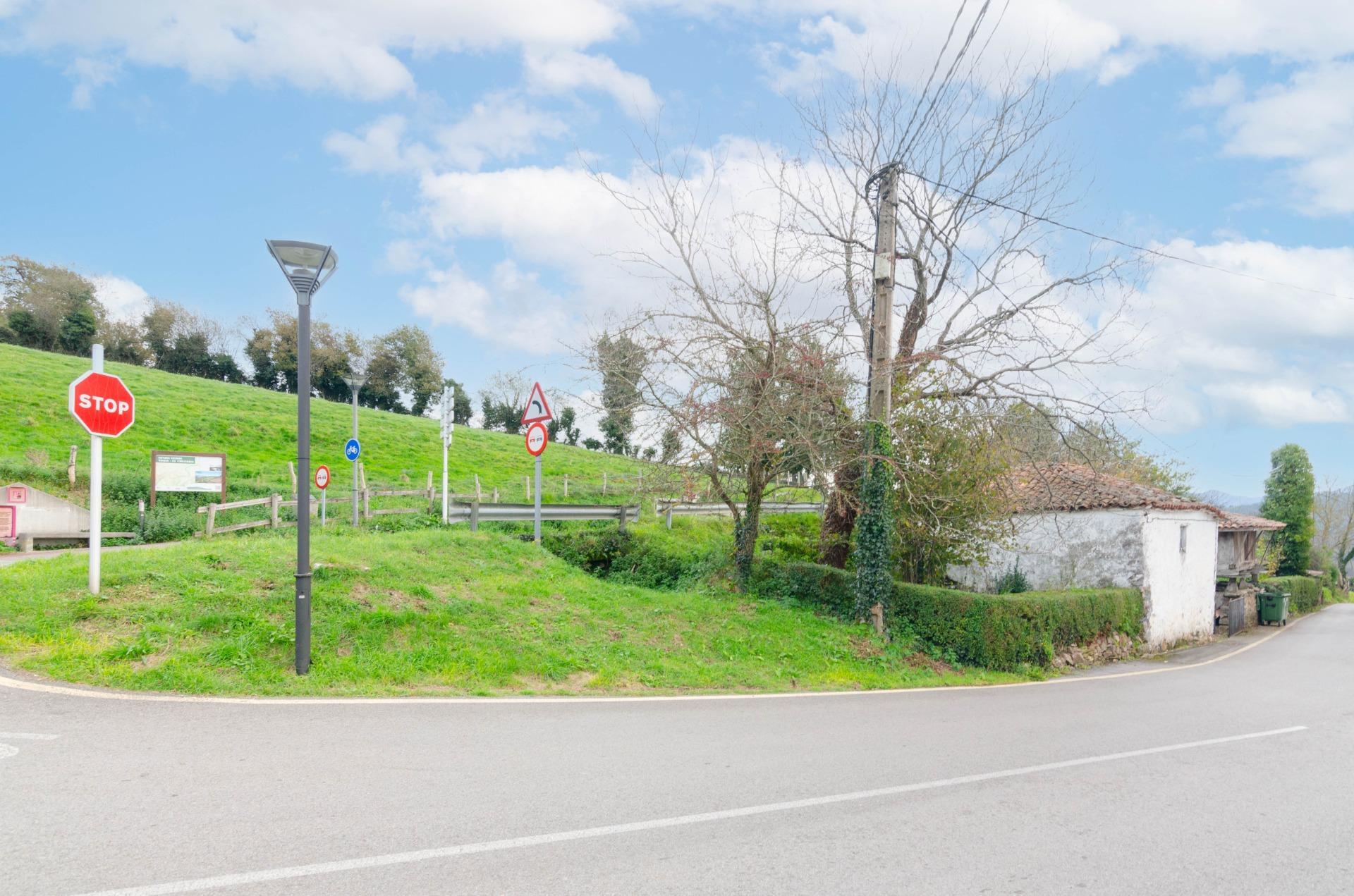 Casas o chalets-Venta-Tineo-1482479-Foto-17