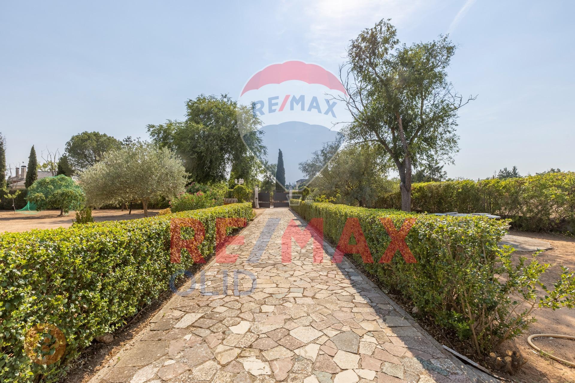 Casas o chalets-Venta-Trigueros del Valle-1876343-Foto-4