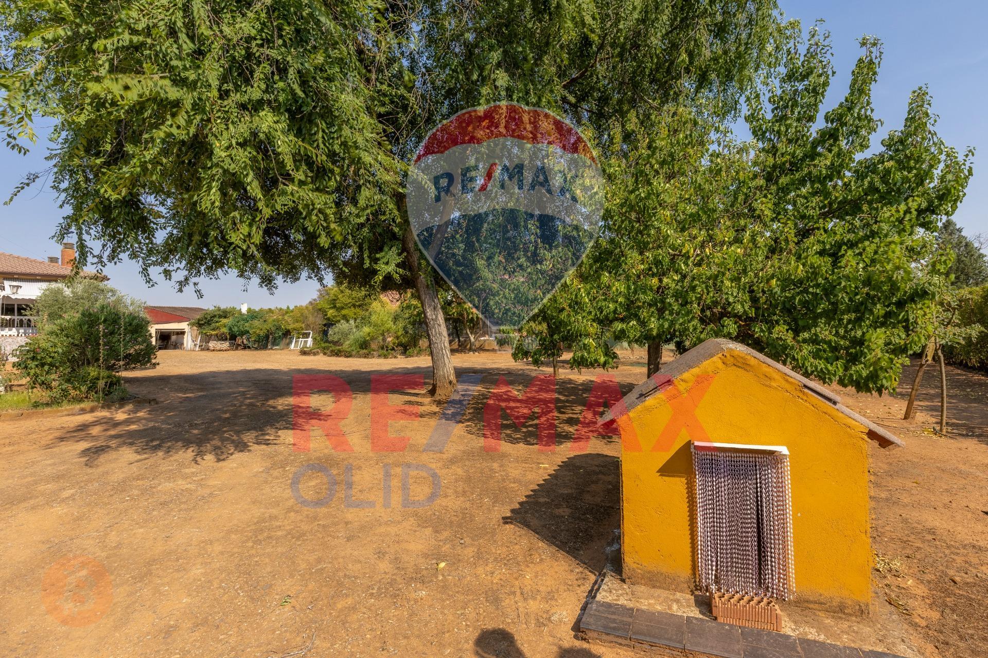 Casas o chalets-Venta-Trigueros del Valle-1876343-Foto-13