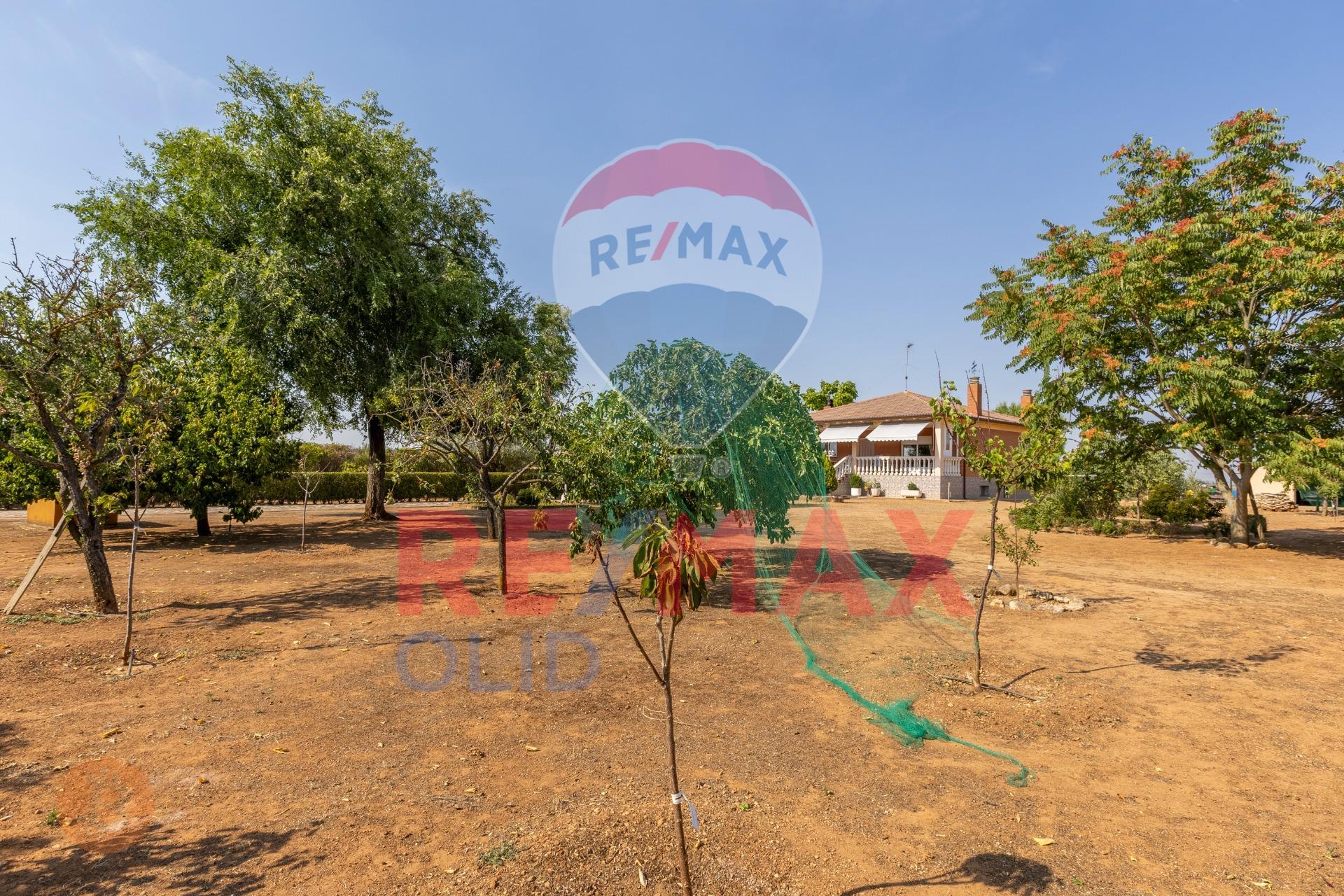 Casas o chalets-Venta-Trigueros del Valle-1876343-Foto-14