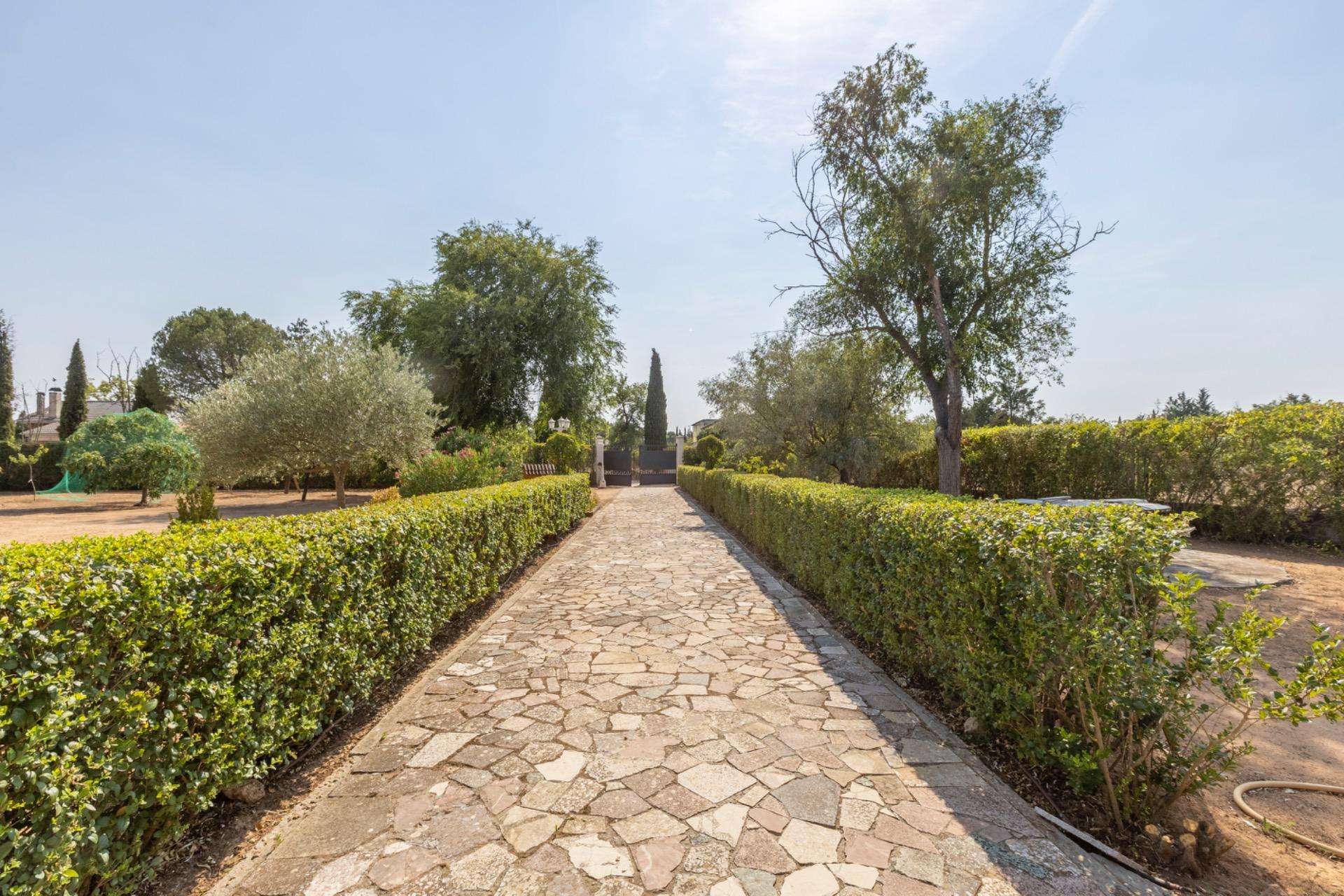 Casas o chalets-Venta-Trigueros del Valle-1876346-Foto-3