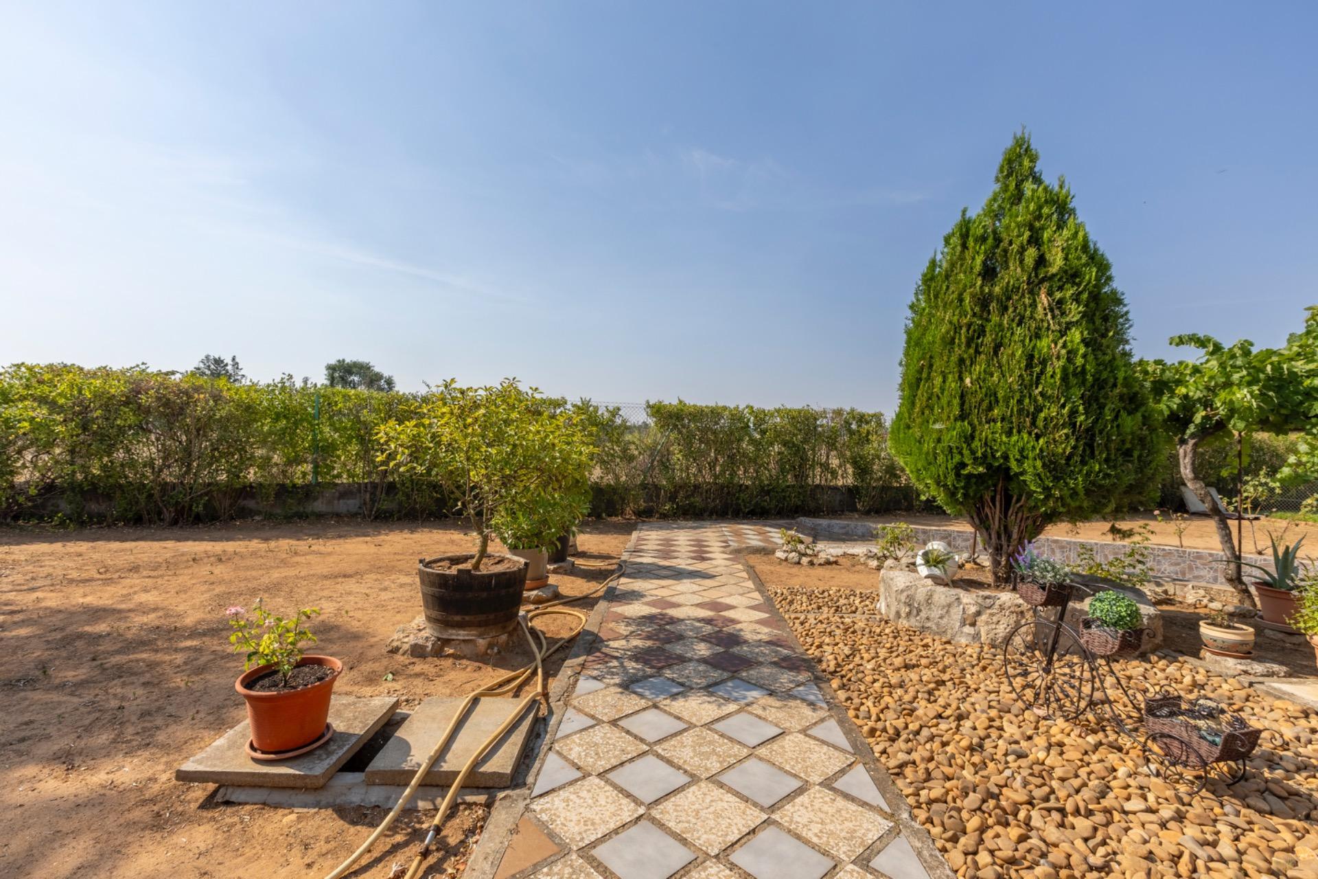 Casas o chalets-Venta-Trigueros del Valle-1876346-Foto-5
