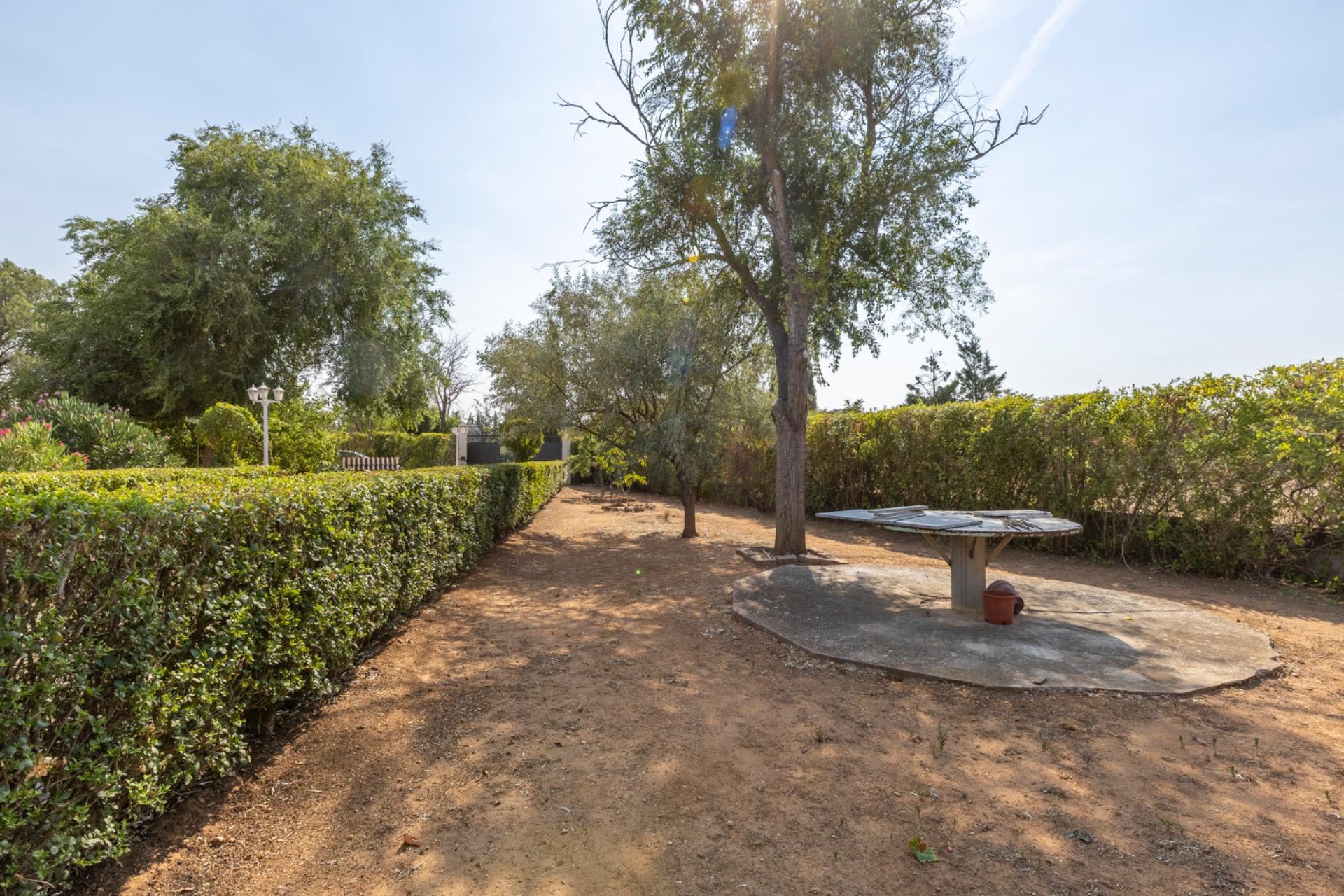 Casas o chalets-Venta-Trigueros del Valle-1876346-Foto-7