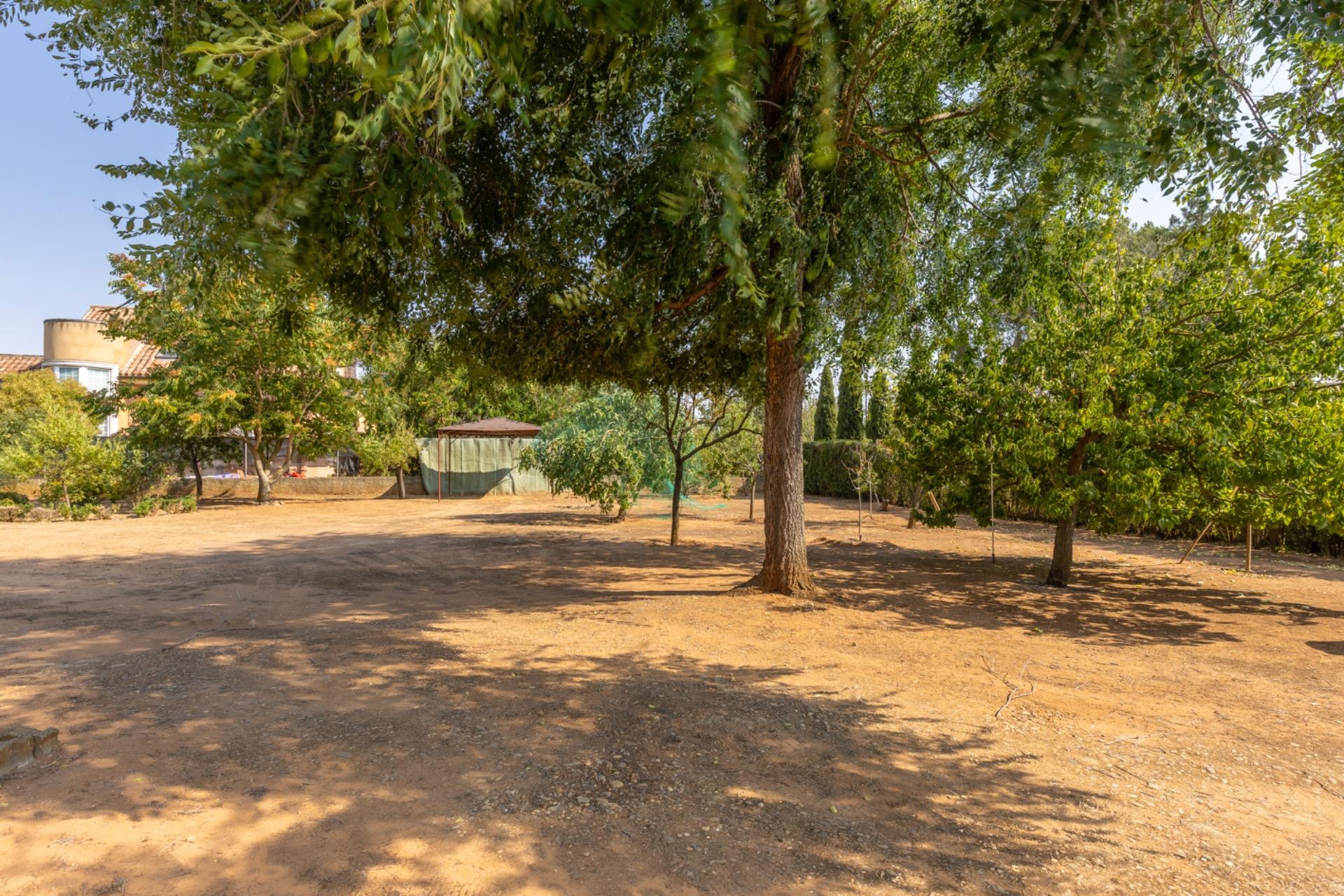 Casas o chalets-Venta-Trigueros del Valle-1876346-Foto-10