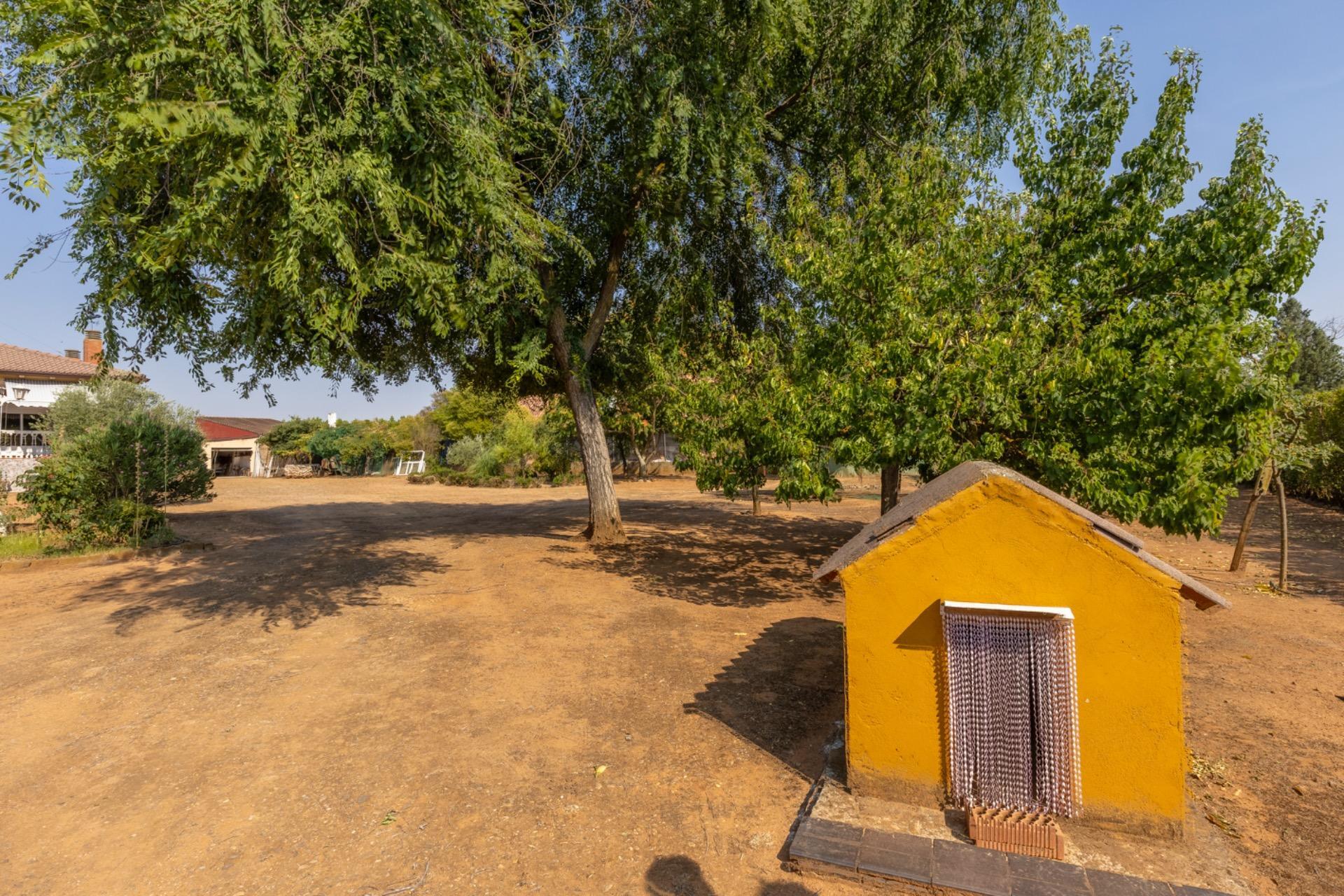 Casas o chalets-Venta-Trigueros del Valle-1876346-Foto-12