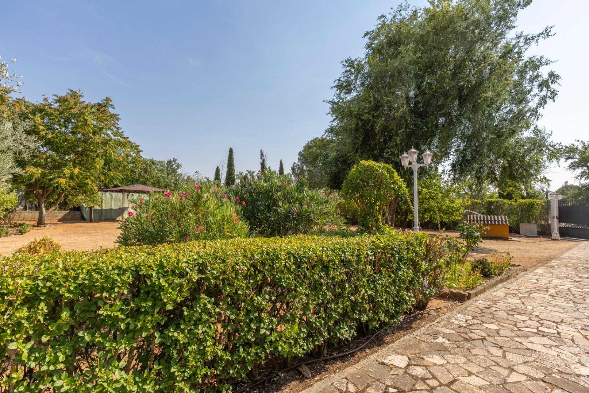 Casas o chalets-Venta-Trigueros del Valle-1876346-Foto-9