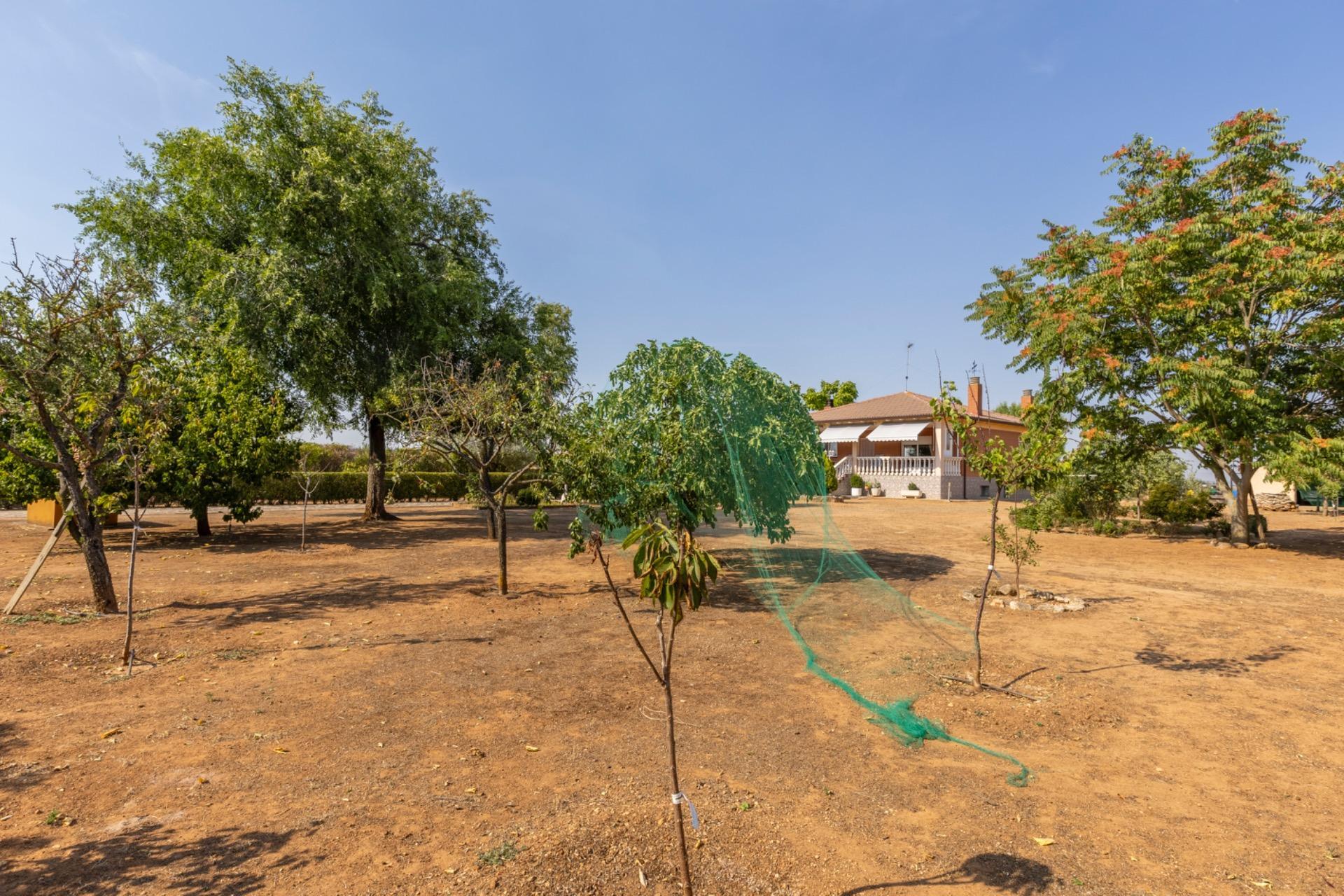 Casas o chalets-Venta-Trigueros del Valle-1876346-Foto-13