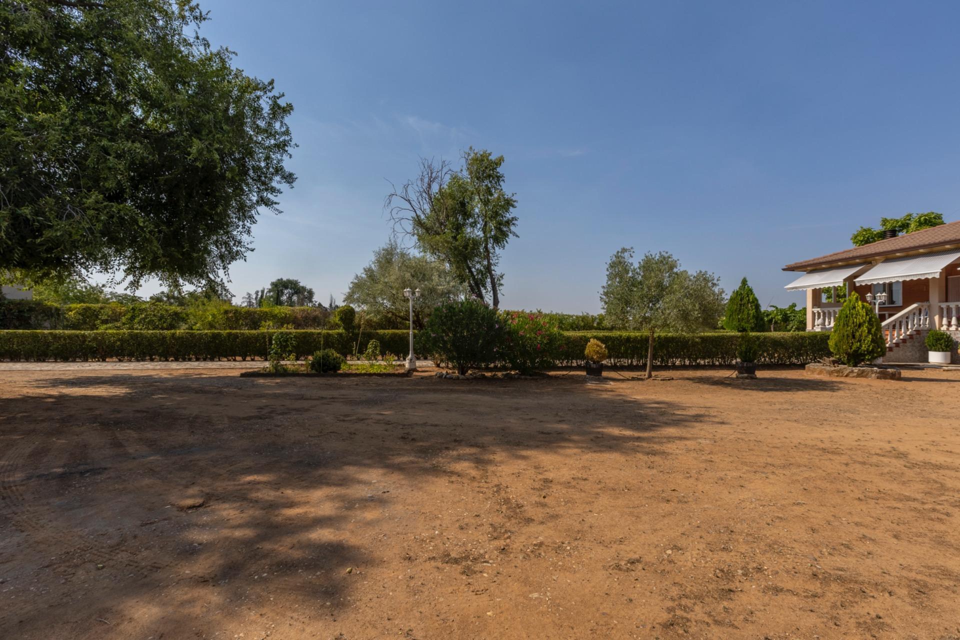 Casas o chalets-Venta-Trigueros del Valle-1876346-Foto-16