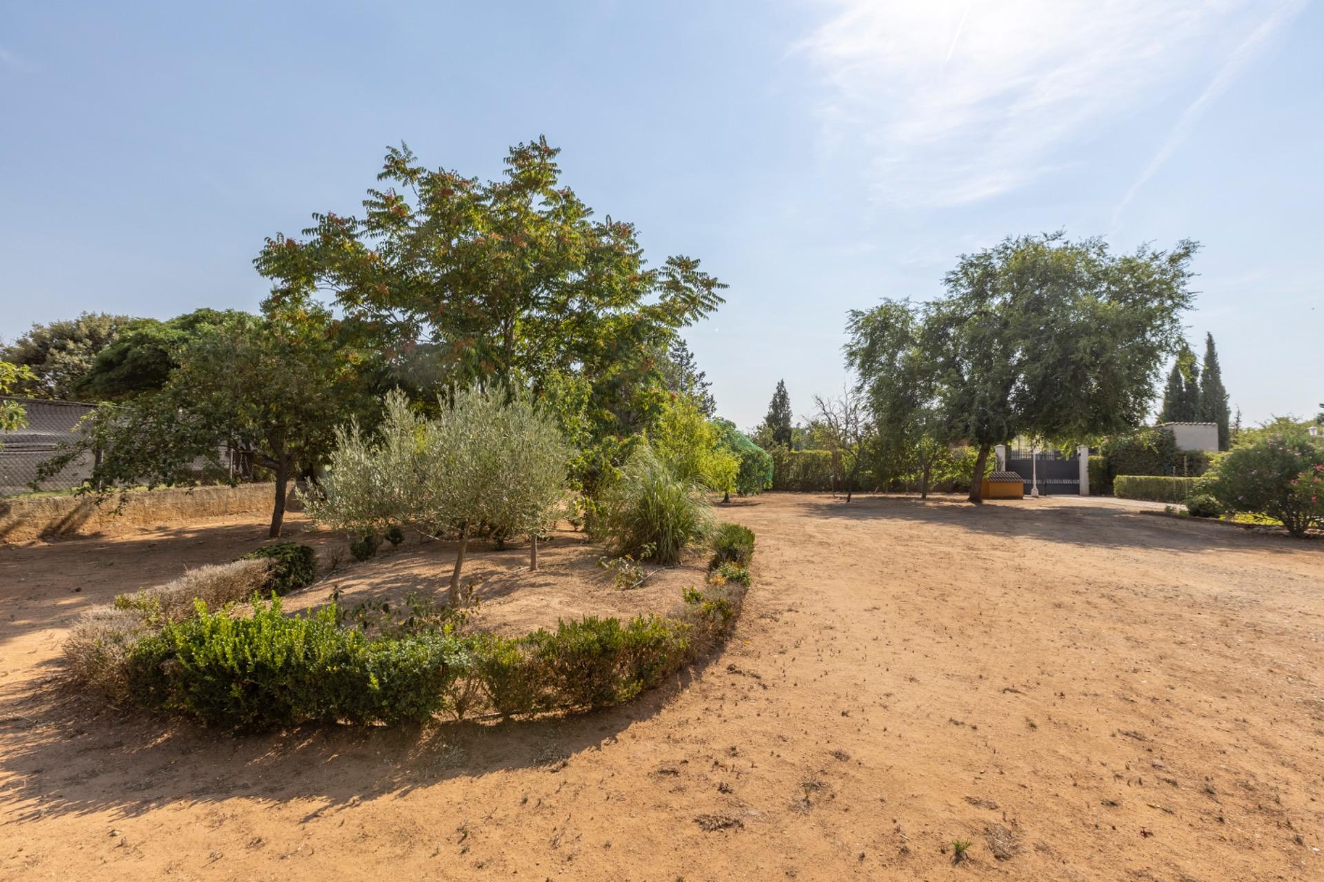 Casas o chalets-Venta-Trigueros del Valle-1876346-Foto-17