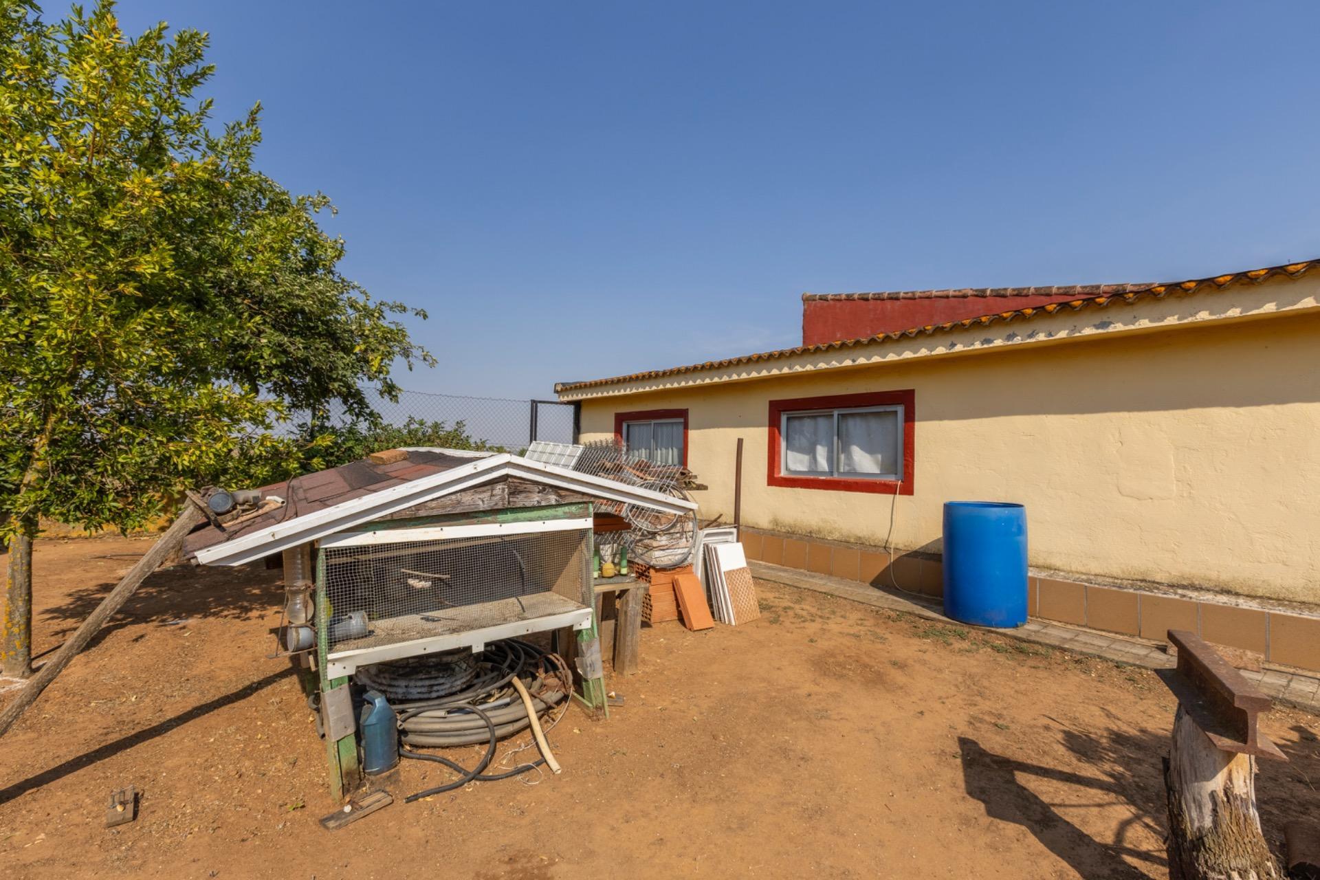 Casas o chalets-Venta-Trigueros del Valle-1876346-Foto-20