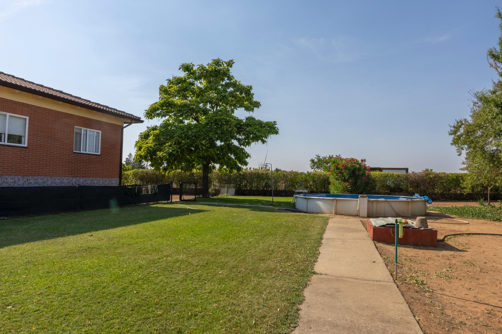 Casas o chalets-Venta-Trigueros del Valle-1876346-Foto-19